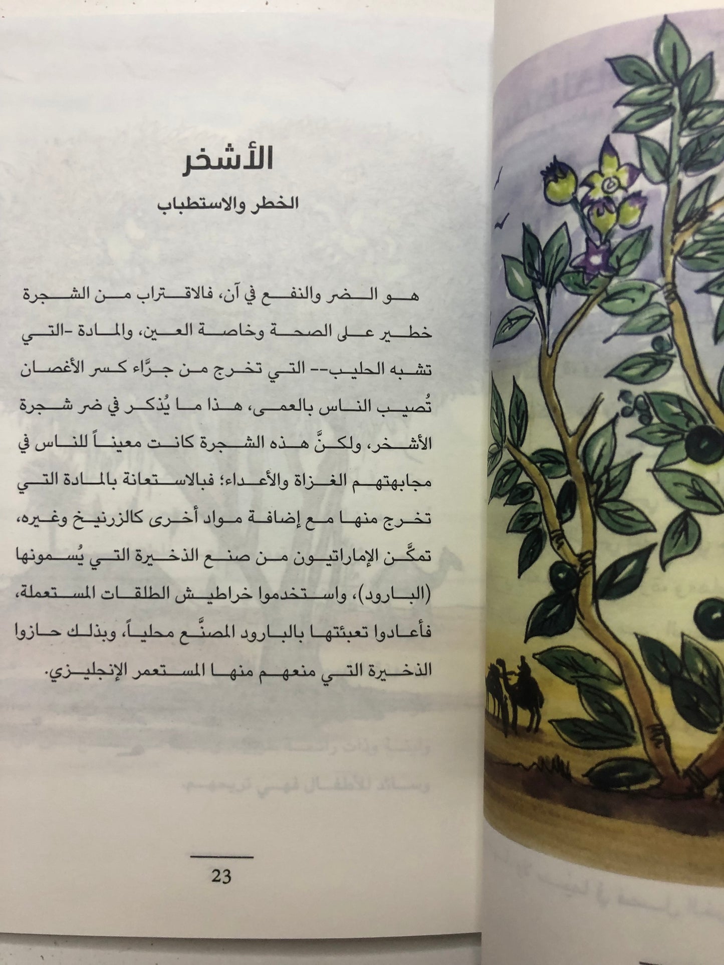 الخضر : النباتات في المخيال الشعبي الإماراتي