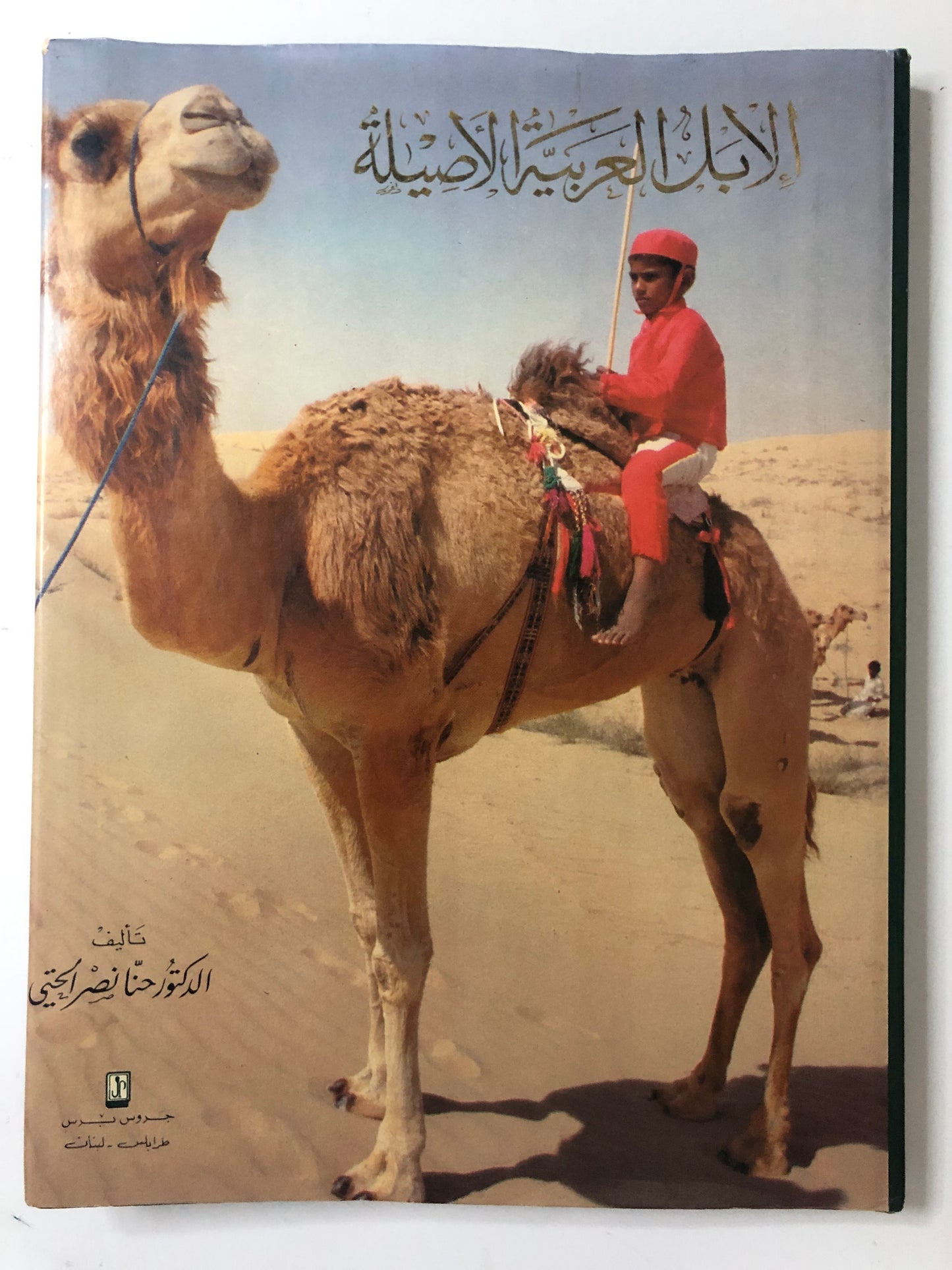 الإبل العربية الأصيلة