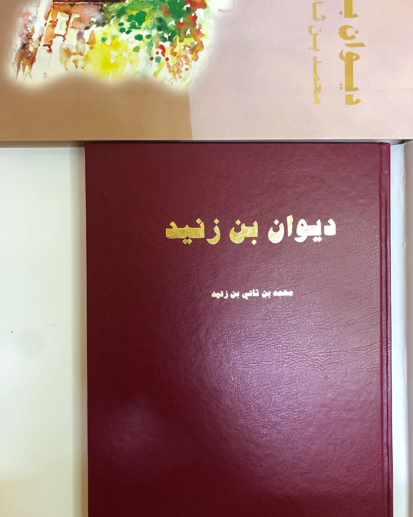 ديوان بن زنيد : محمد بن ثاني بن زنيد
الطبعة الفاخرة /صندوق حافظ