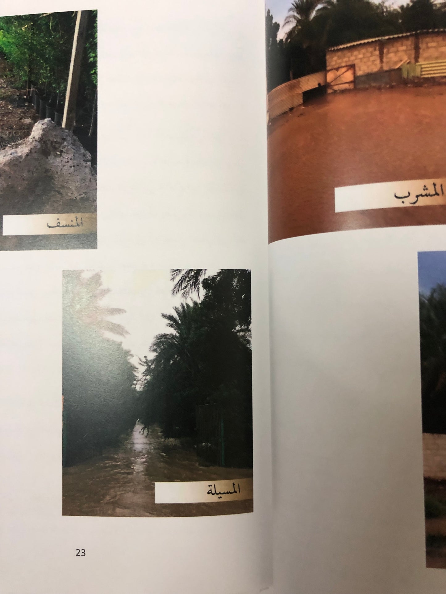 المطر في الموروث الشعبي الإماراتي