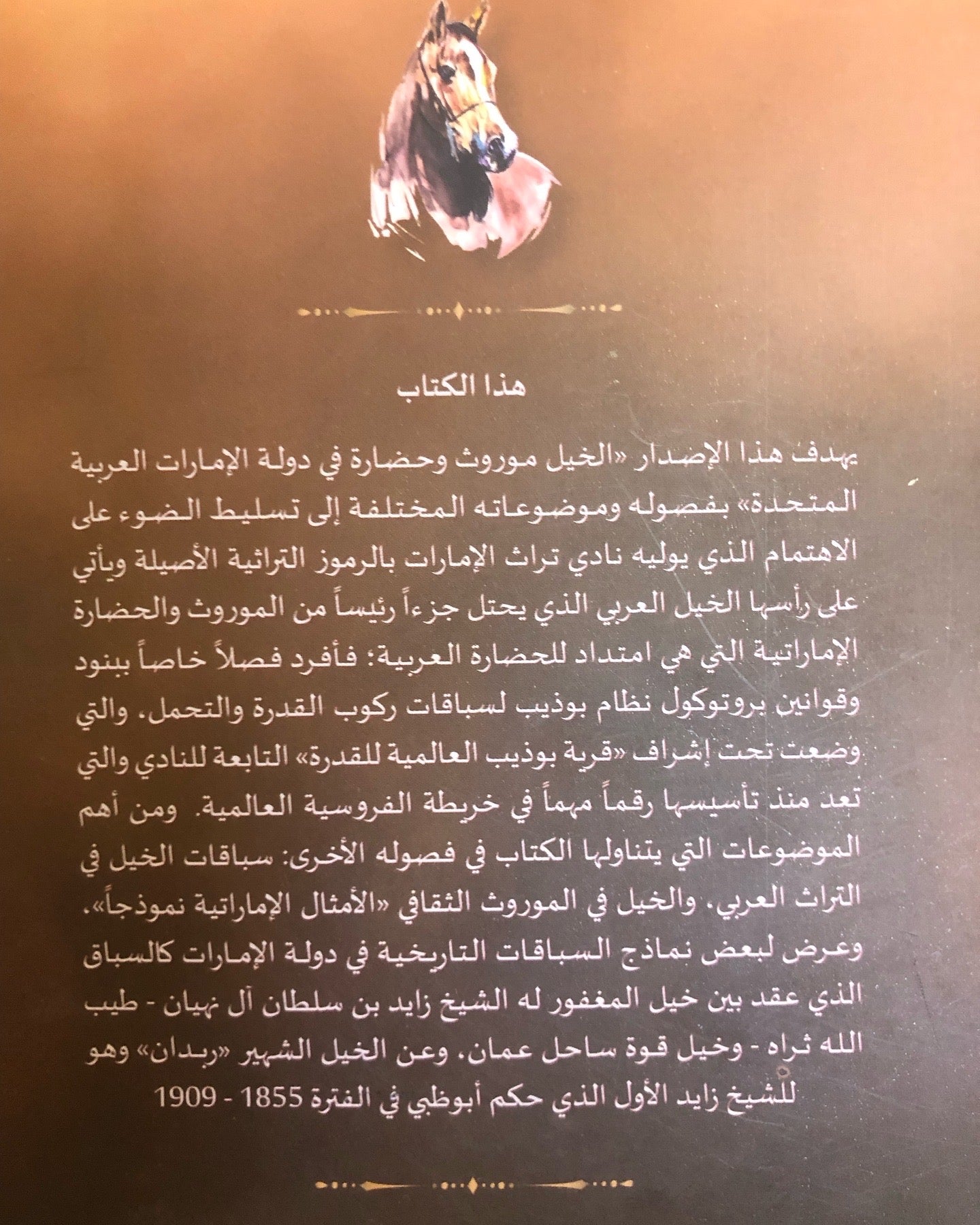 الخيل موروث وحضارة في دولة الإمارات