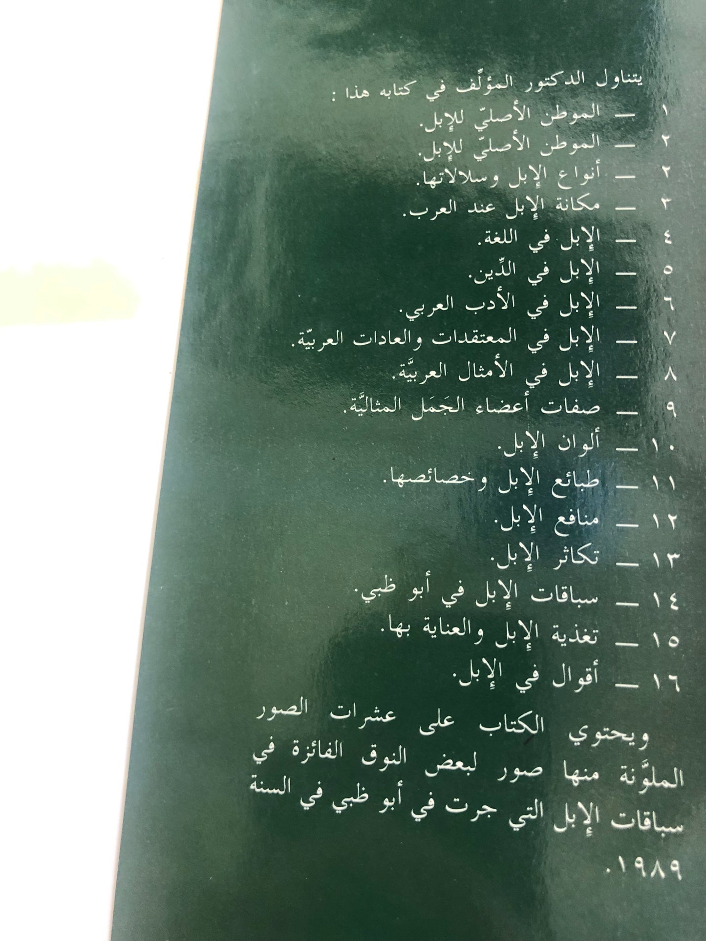 الإبل العربية الأصيلة