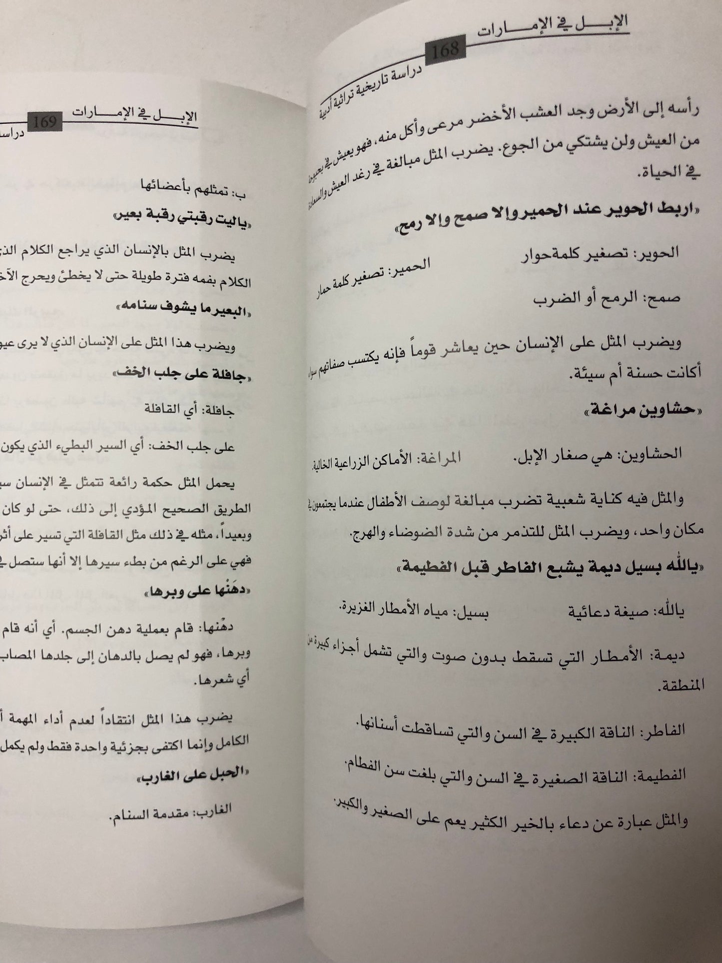 الإبل في الإمارات : دراسة تاريخية تراثية أدبية