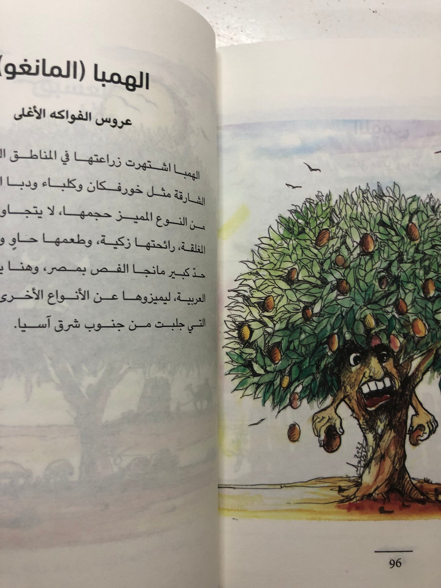 الخضر : النباتات في المخيال الشعبي الإماراتي