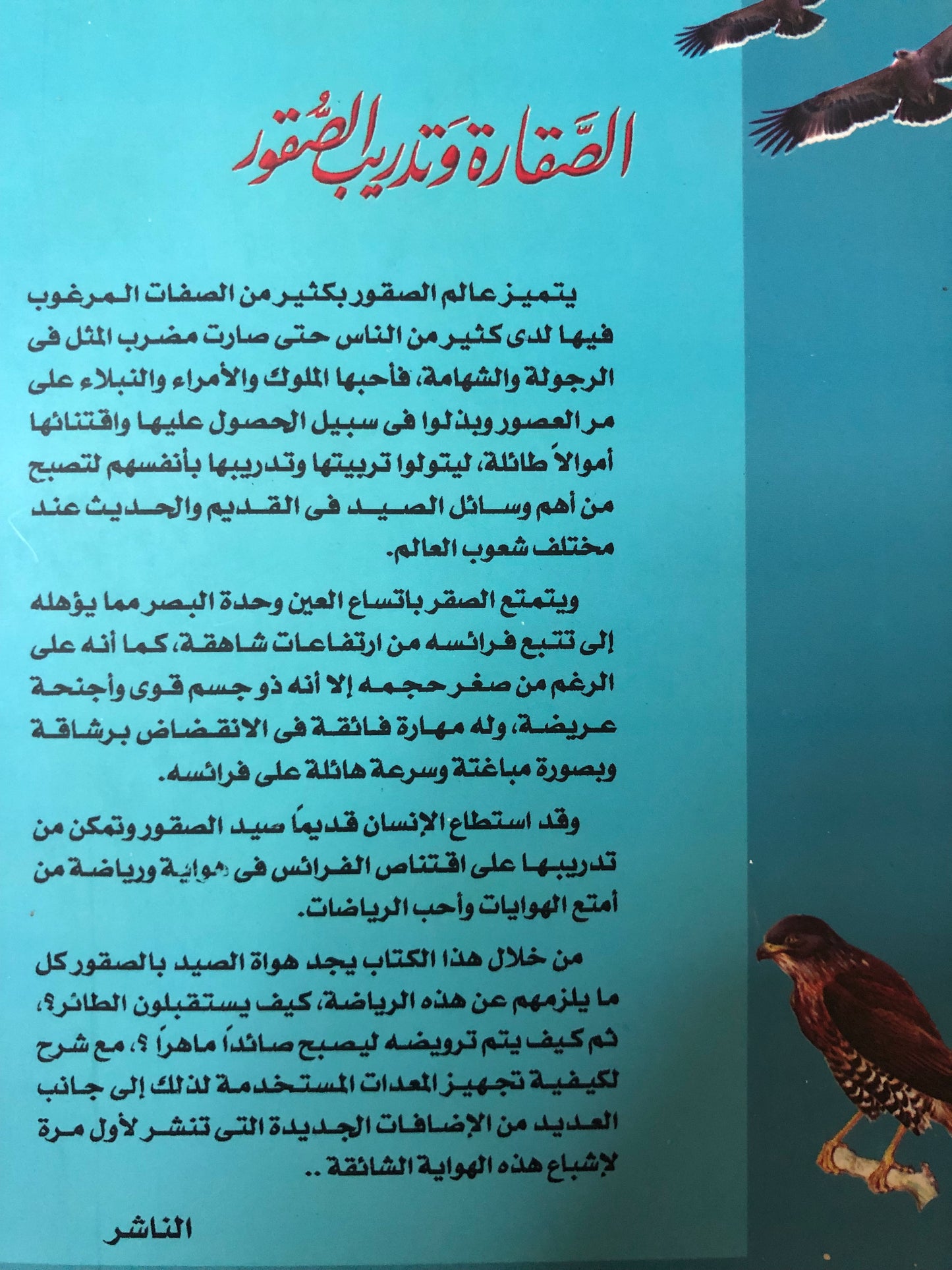 الصقارة وتدريب الصقور وطرق تنفيذ مهمات الصقور