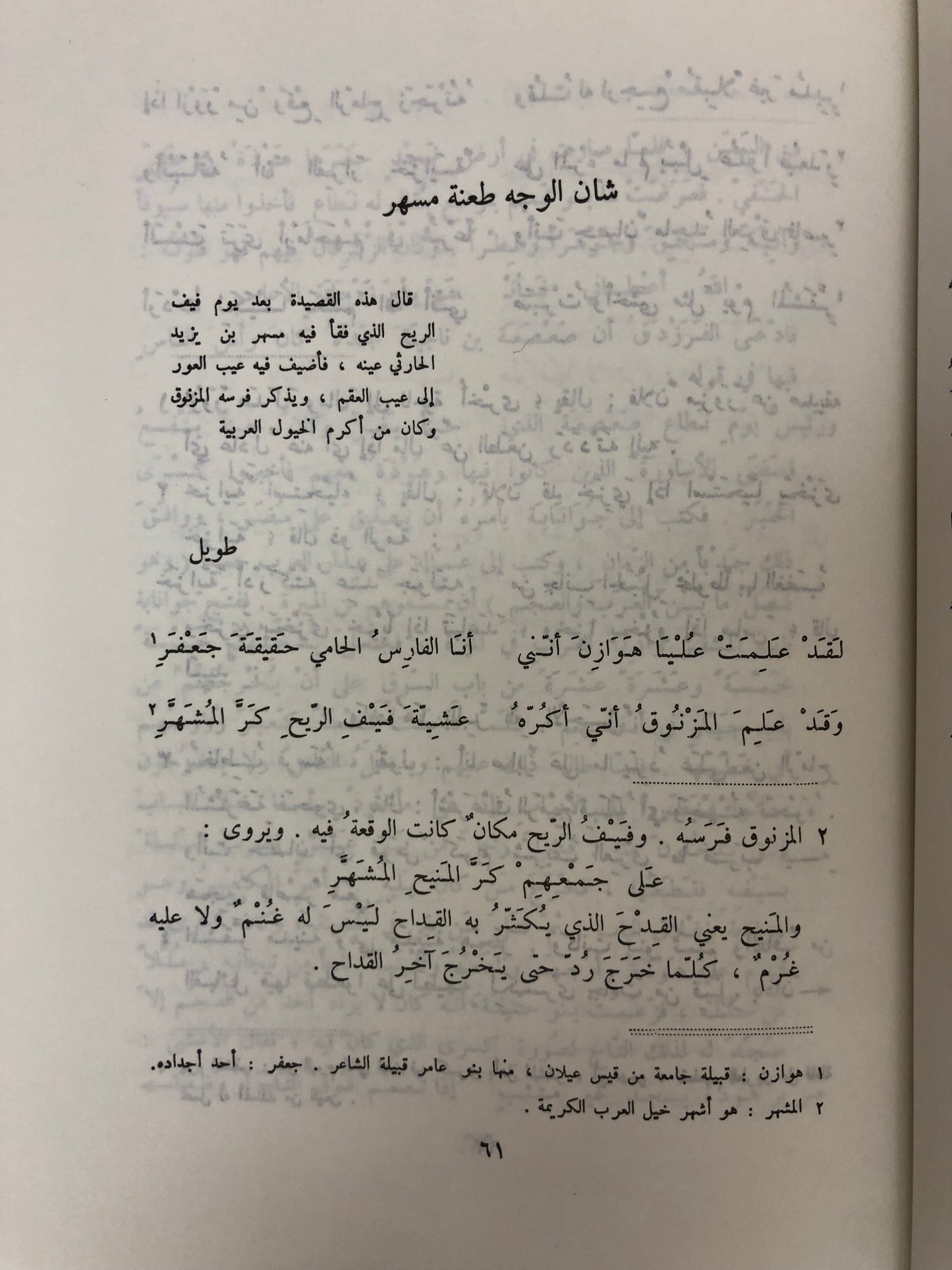 ديوان عامر بن الطفيل مجلد