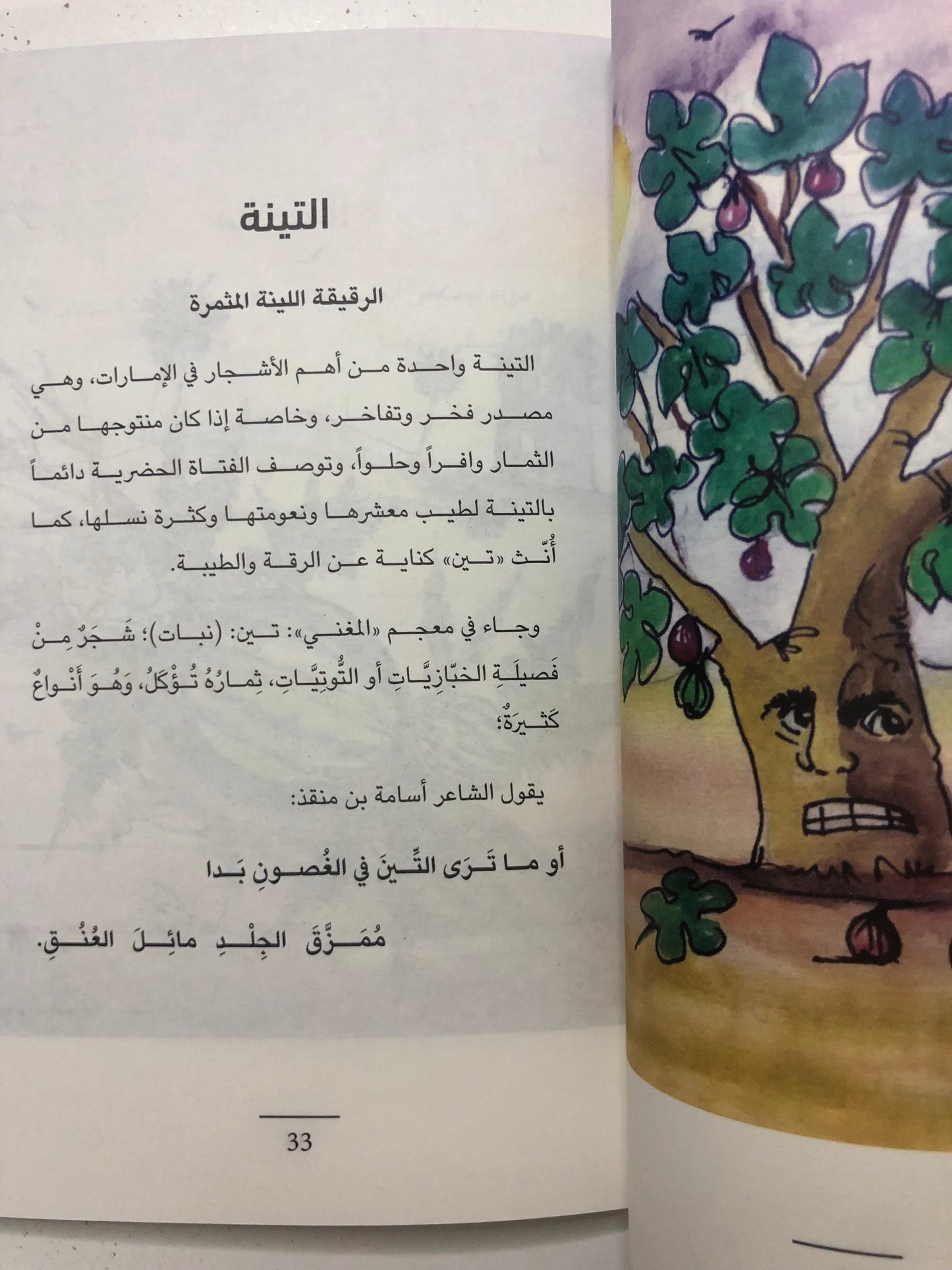 الخضر : النباتات في المخيال الشعبي الإماراتي