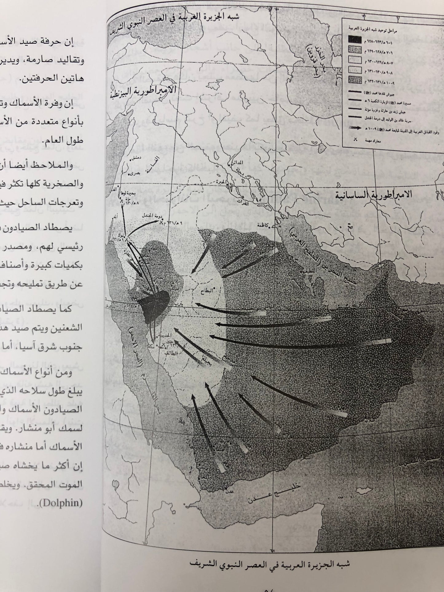 الإمارات والخليج العربي في العصور القديمة : اكتشاف آثار العصر الحديدي
