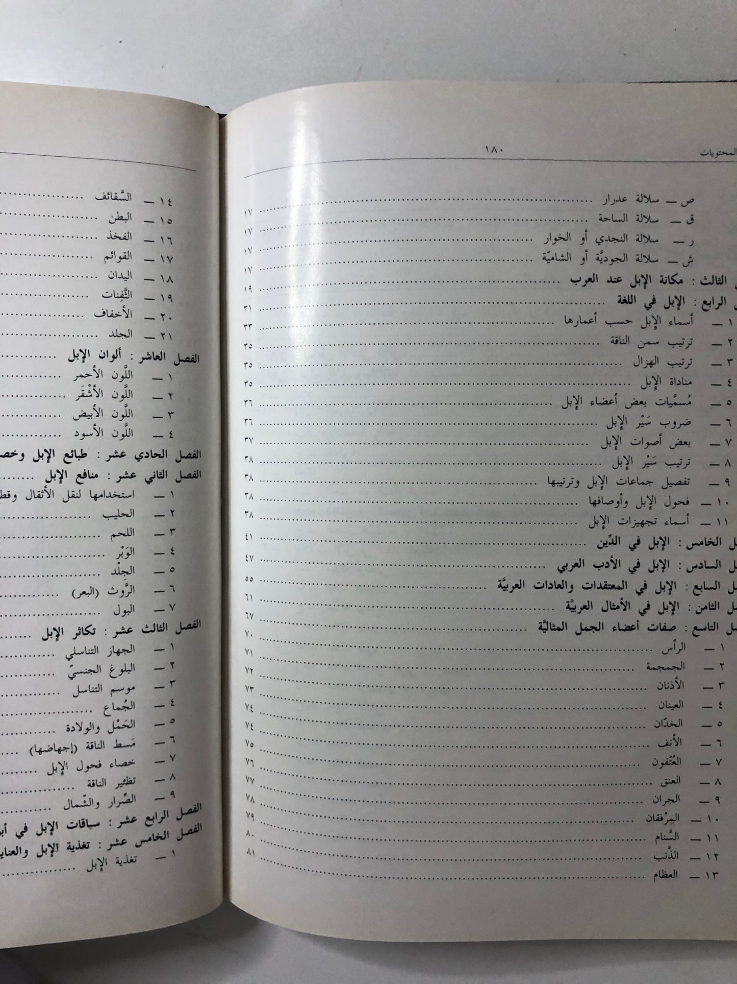 الإبل العربية الأصيلة