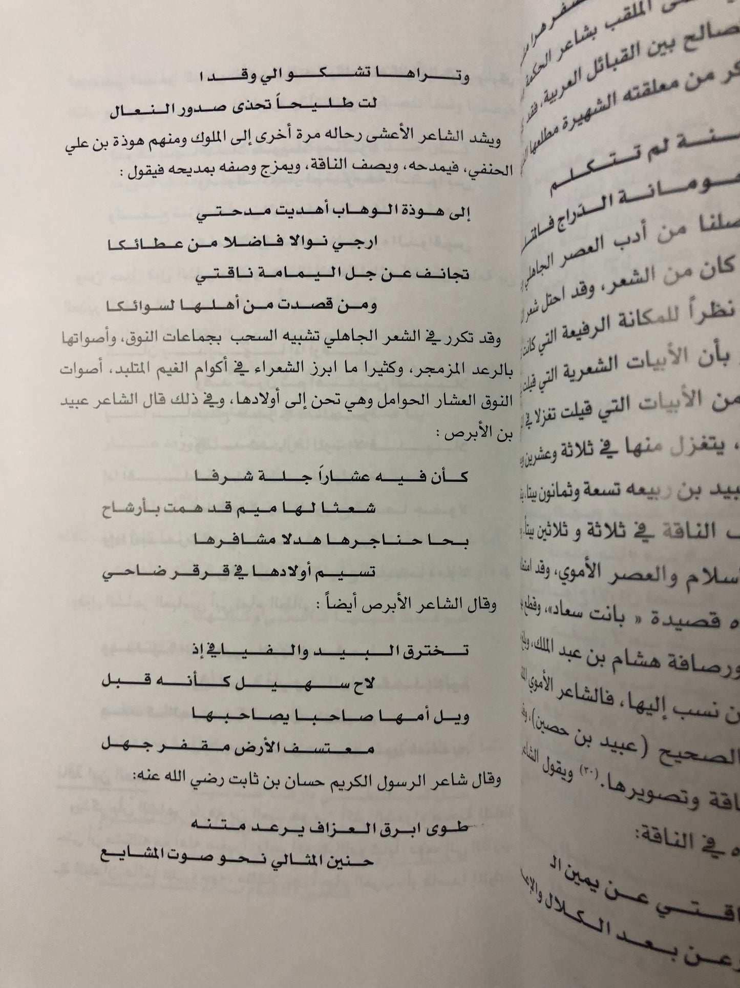 الإبل ذاكرة الصحراء