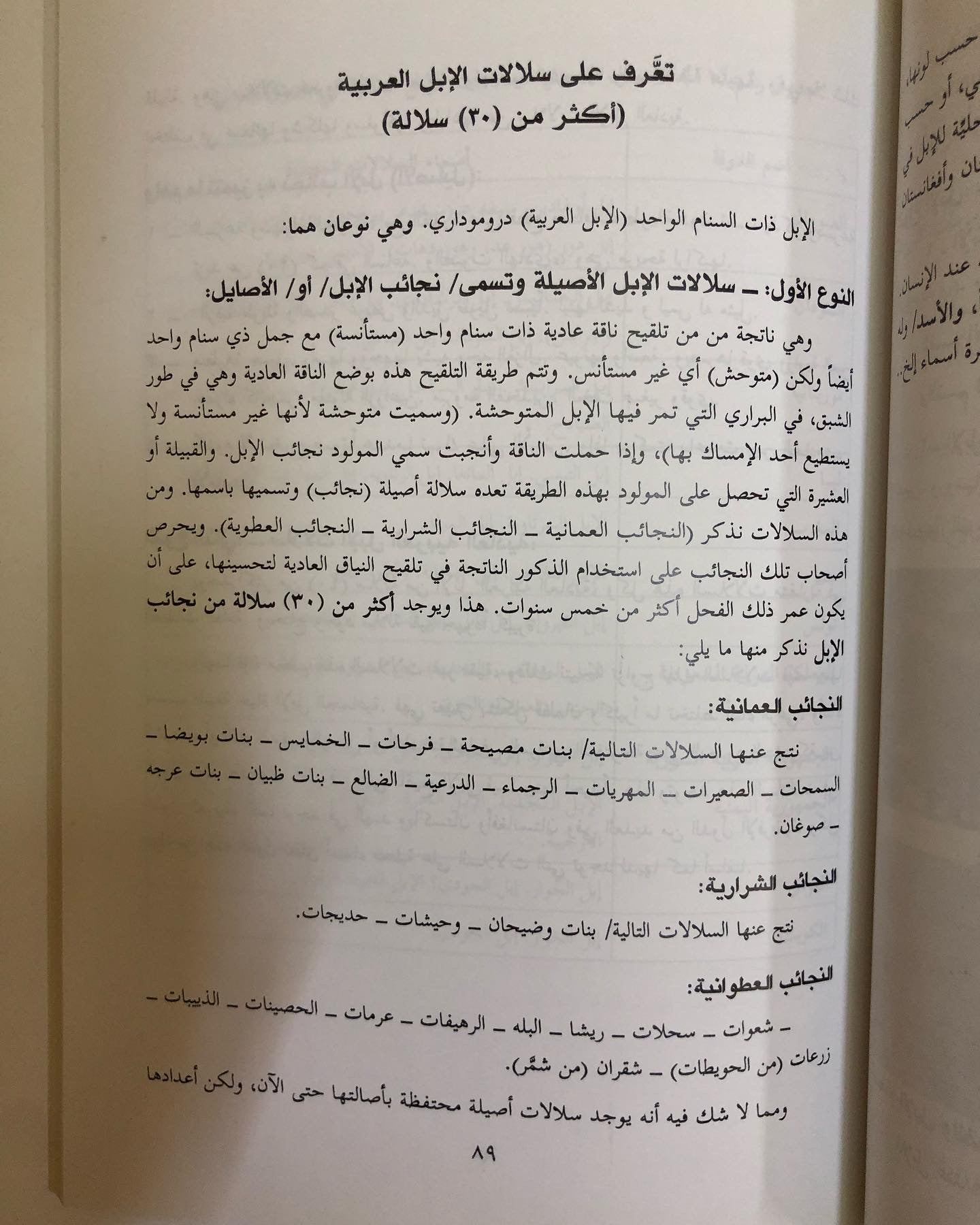 اقتصاديات الإبل : مراجعة للماضي ونظرة للمستقبل