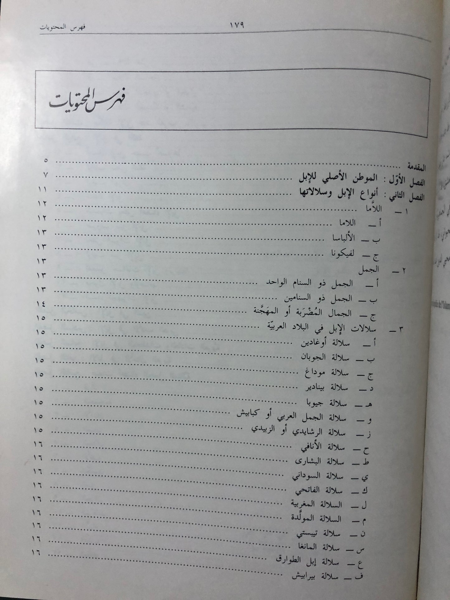 الإبل العربية الأصيلة