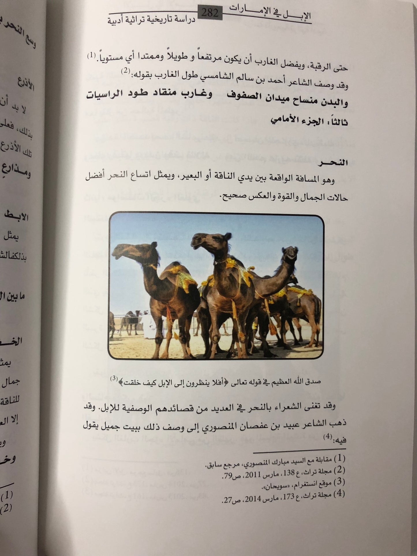 الإبل في الإمارات : دراسة تاريخية تراثية أدبية
