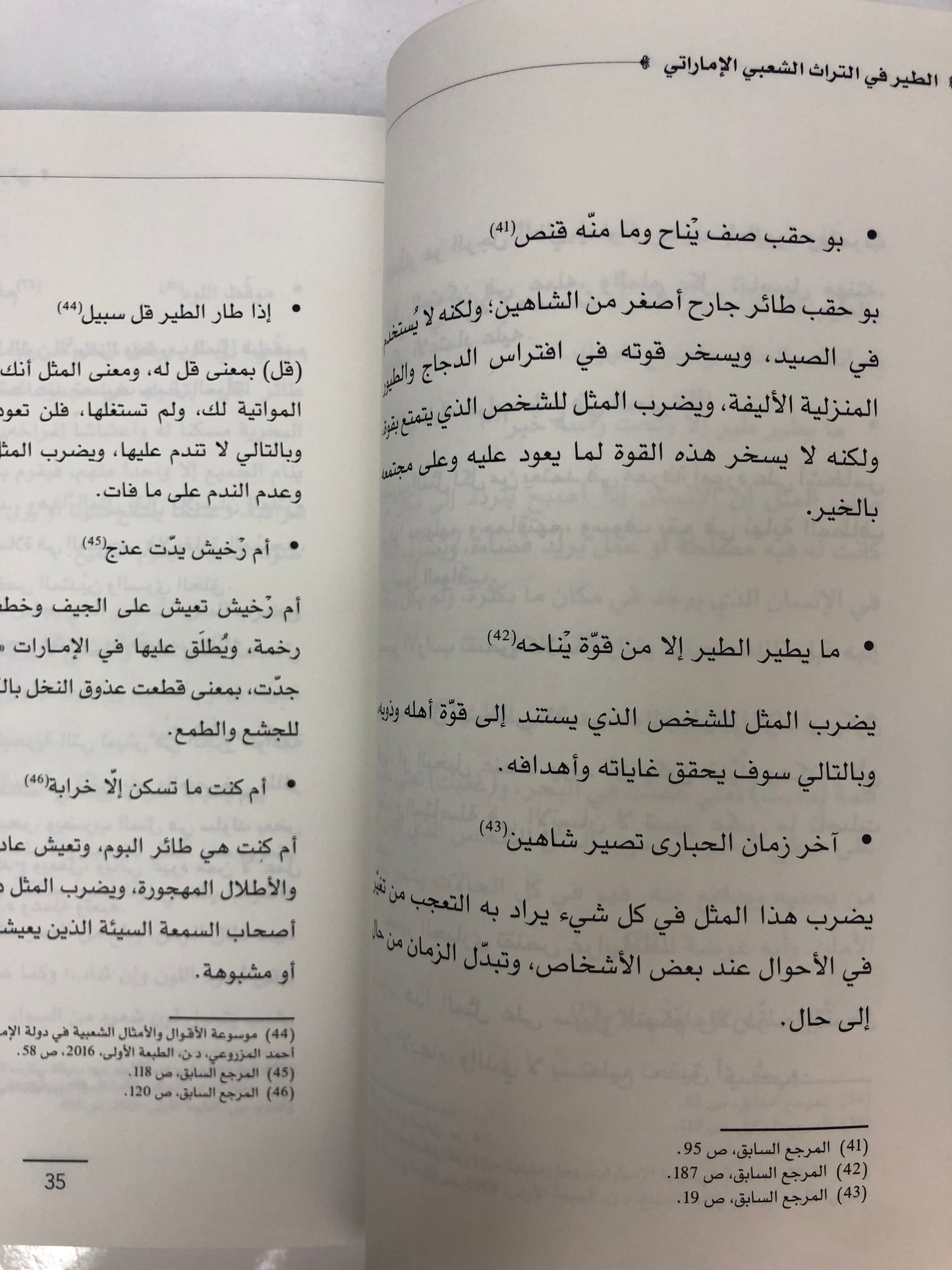  الطير في التراث الشعبي الإماراتي