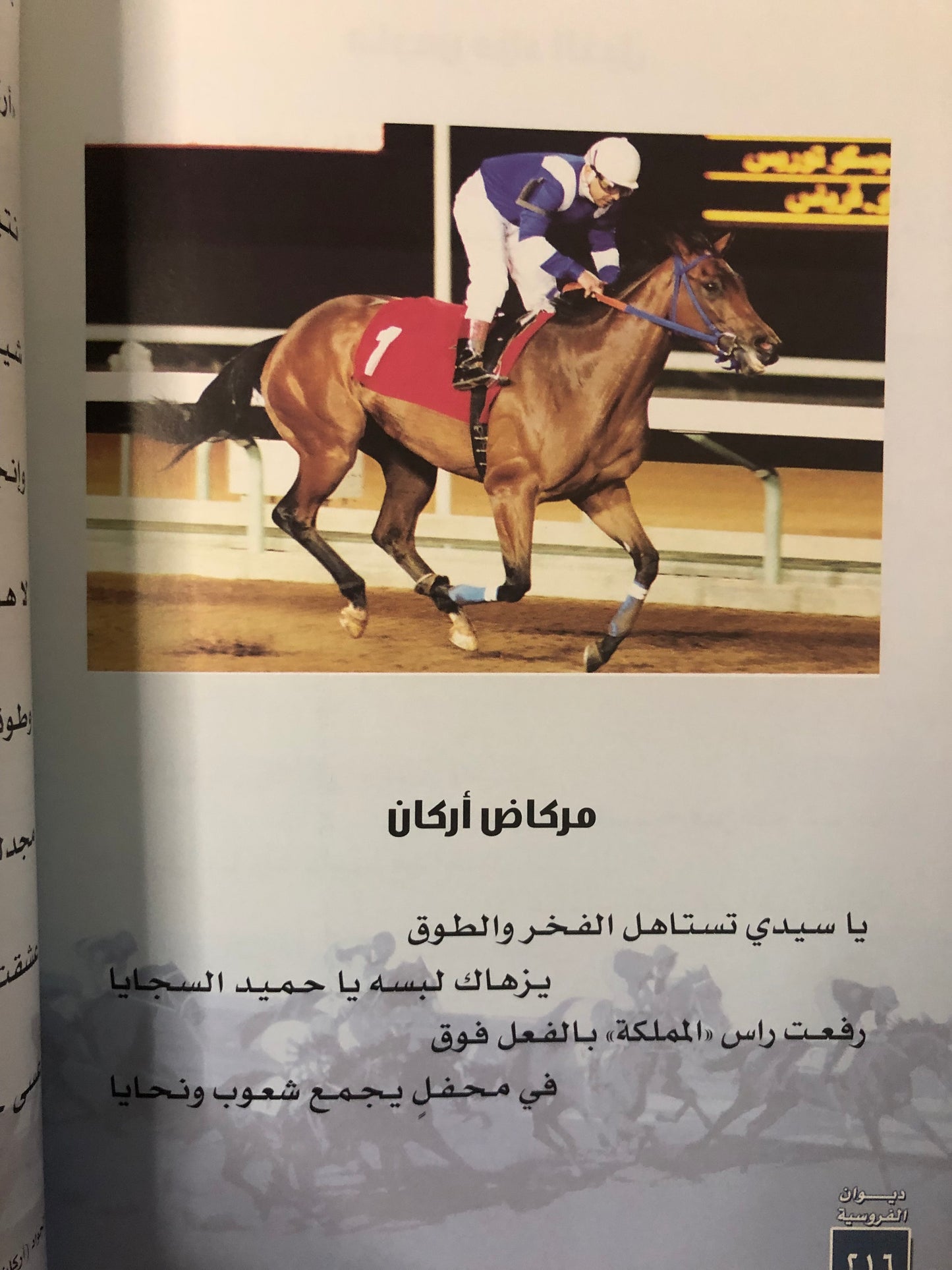 ديوان الفروسية : الشاعرة فتاة نجد