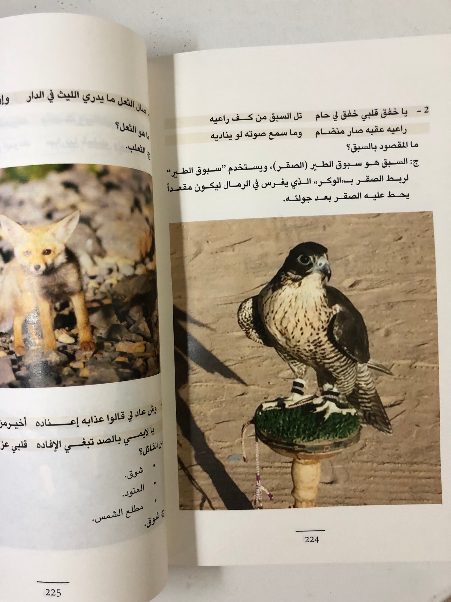 كنوز من التراث : أسئلة تراثية (ألفاظ-ألغاز-أمثال-شعر-قرى ومدن) الكتاب الأول