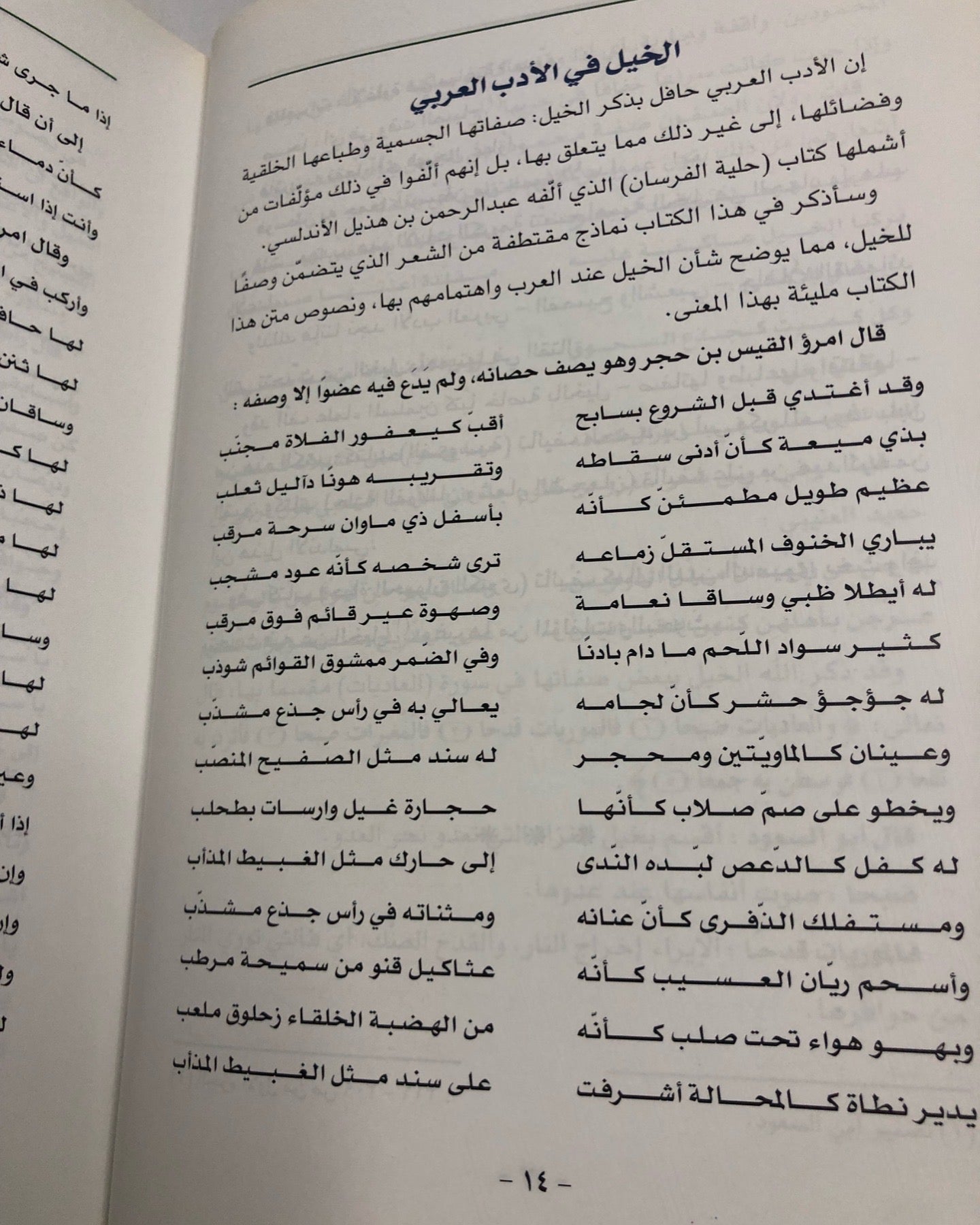 معجم التراث : الخيل والإبل