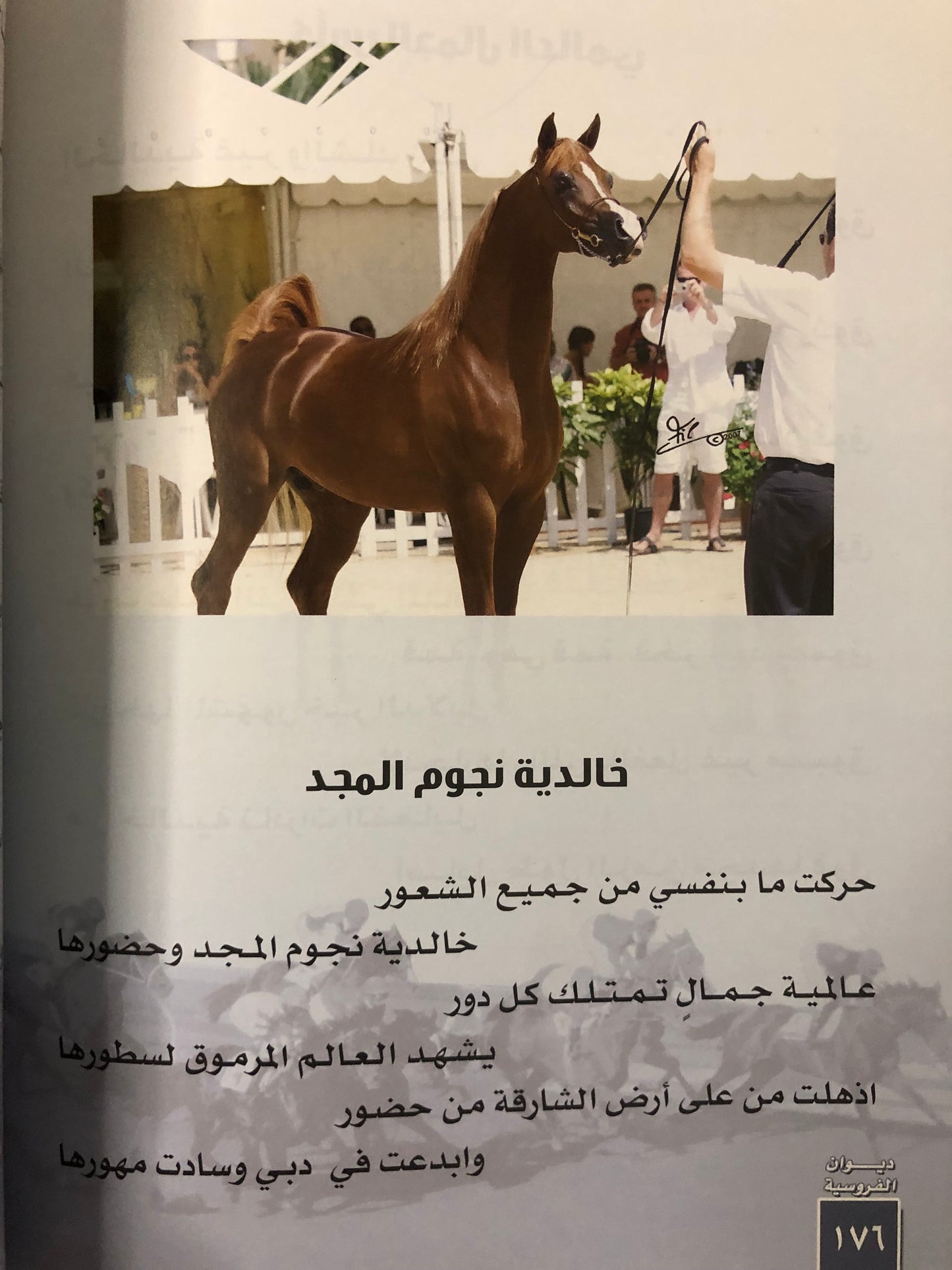 ديوان الفروسية : الشاعرة فتاة نجد