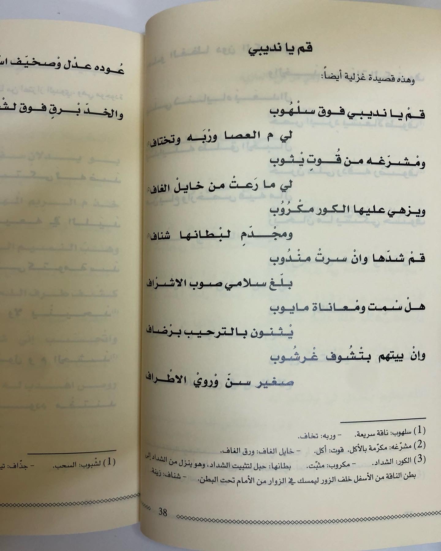ديوان طش الروايح : الشاعر محمد بن علي الخيال الطنيجي