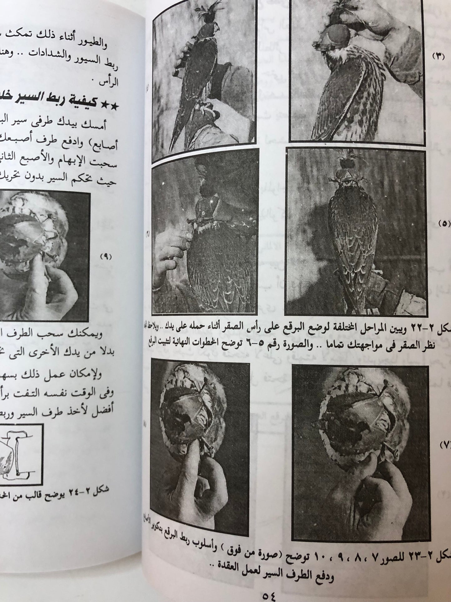 الصقارة وتدريب الصقور وطرق تنفيذ مهمات الصقور