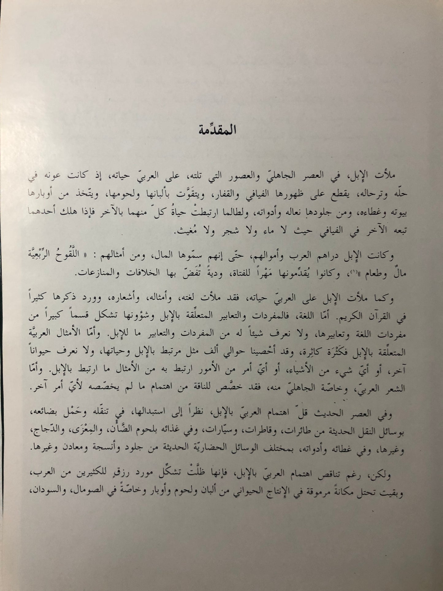 الإبل العربية الأصيلة