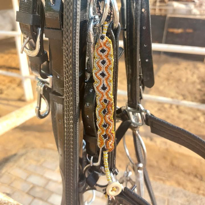 عيون الأصايل 🐎