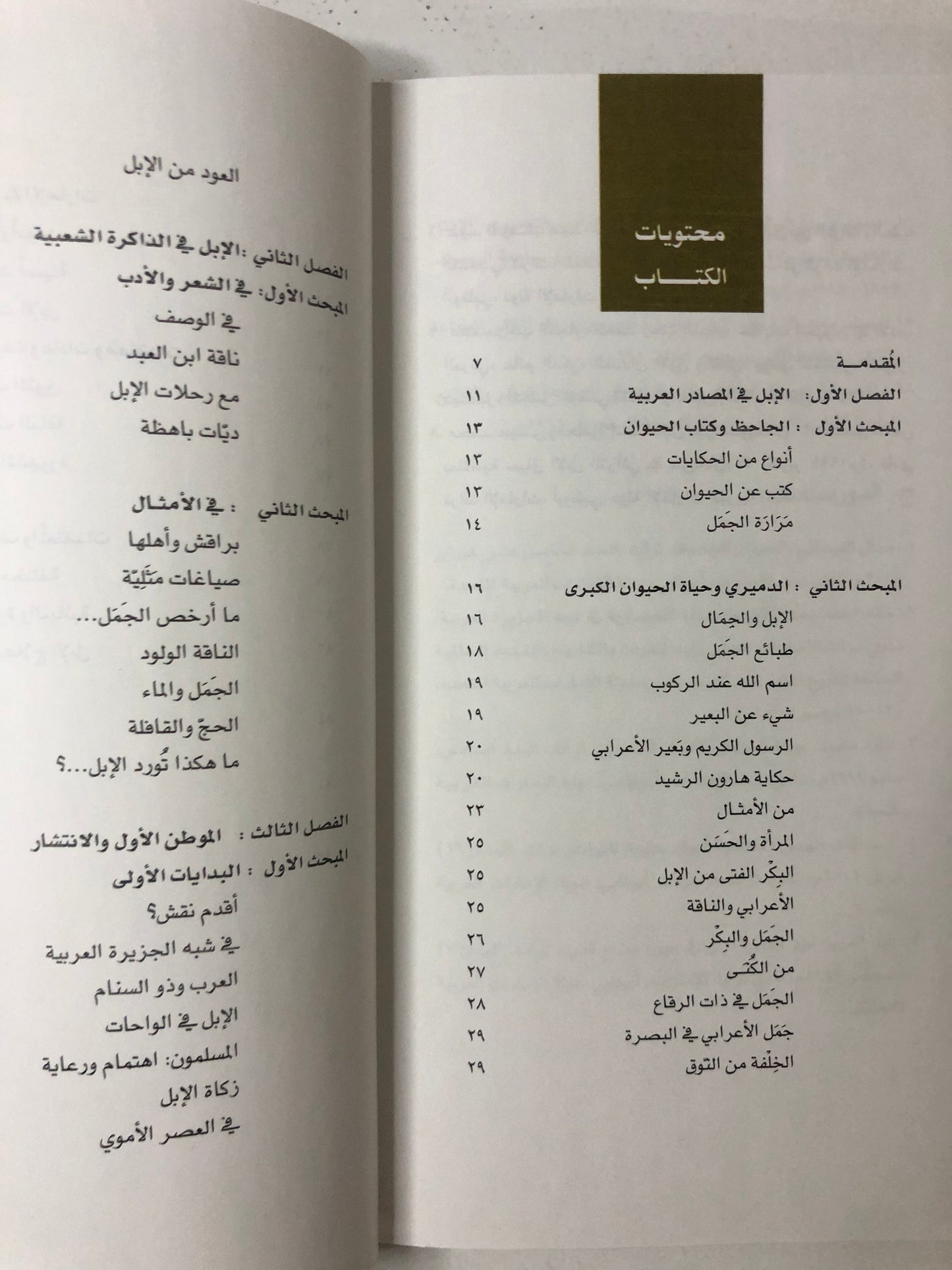 الإبل ذاكرة الصحراء