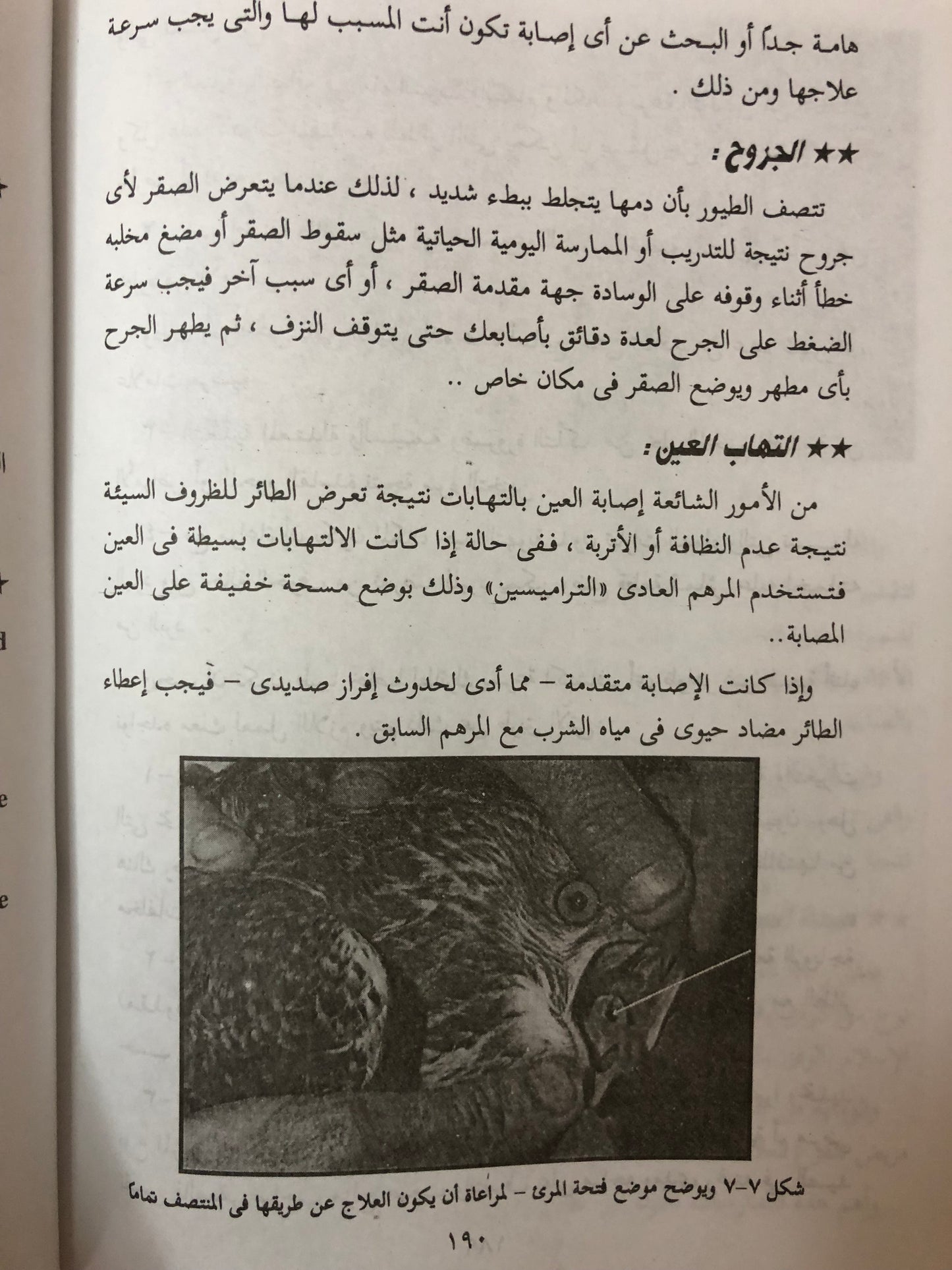 الصقارة وتدريب الصقور وطرق تنفيذ مهمات الصقور