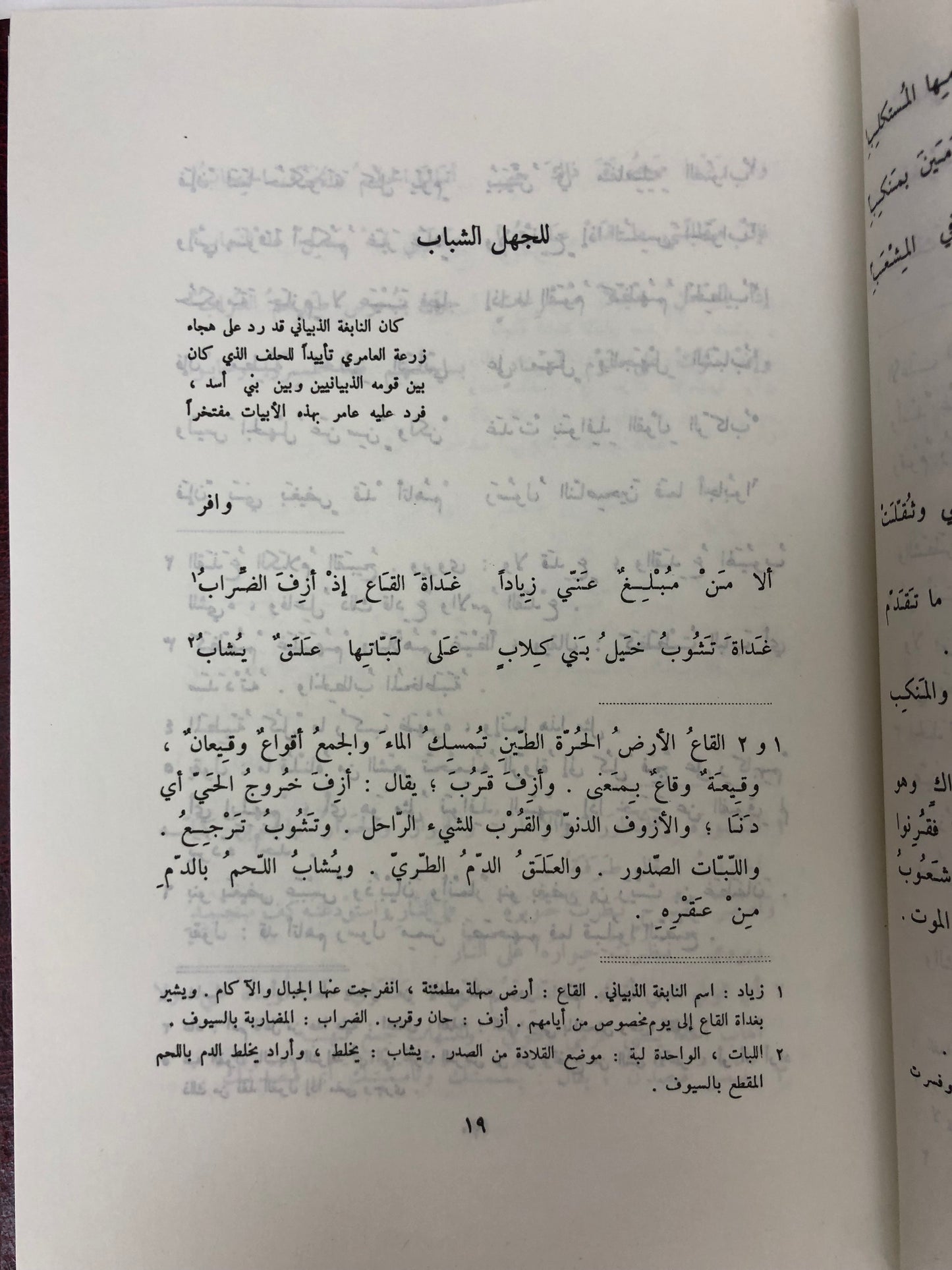 ديوان عامر بن الطفيل مجلد