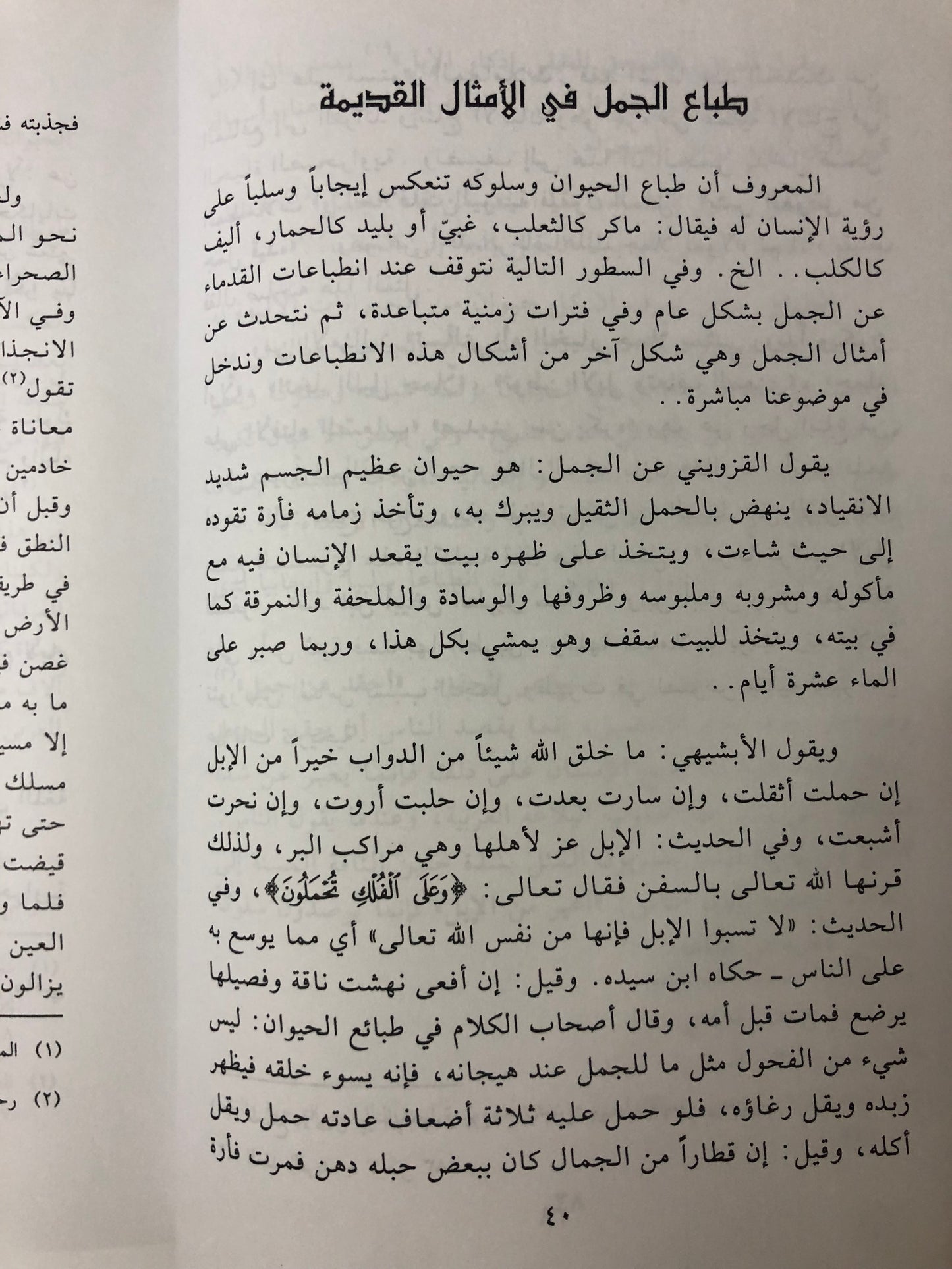 الجمل في أمثال العالم العربي قديما وحديثا