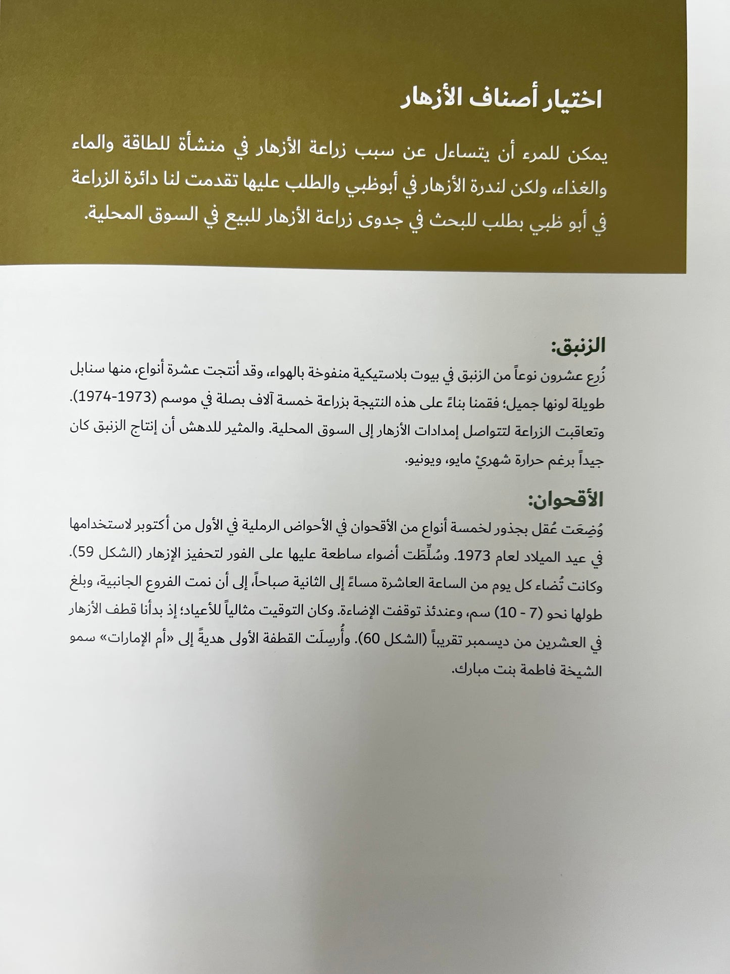 زايد ومعجزة السعديات