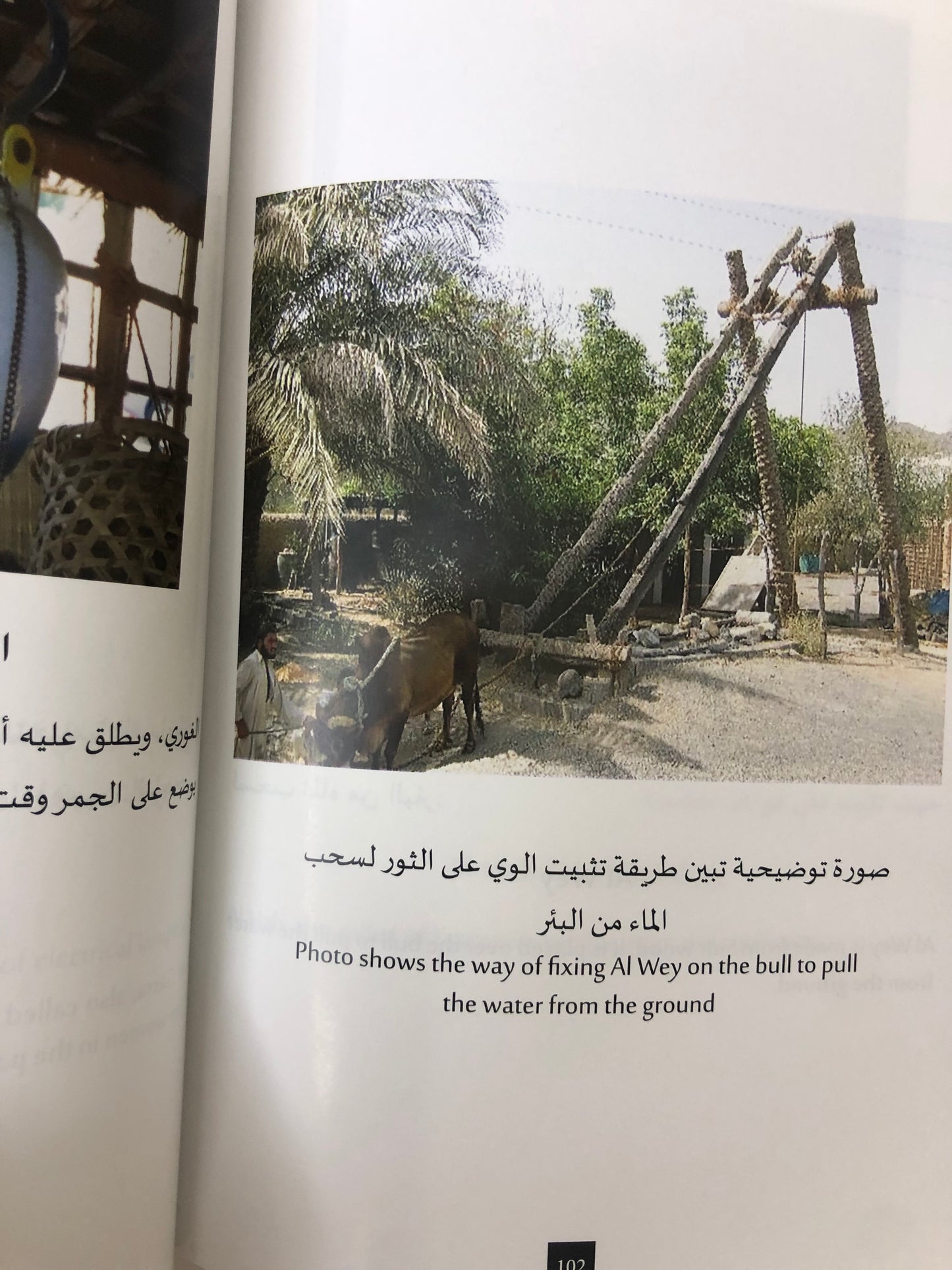 تراث الإمارات البحري : عبدالله محمد سليمان آل علي (أحد رواد التراث الشعبي الإماراتي)