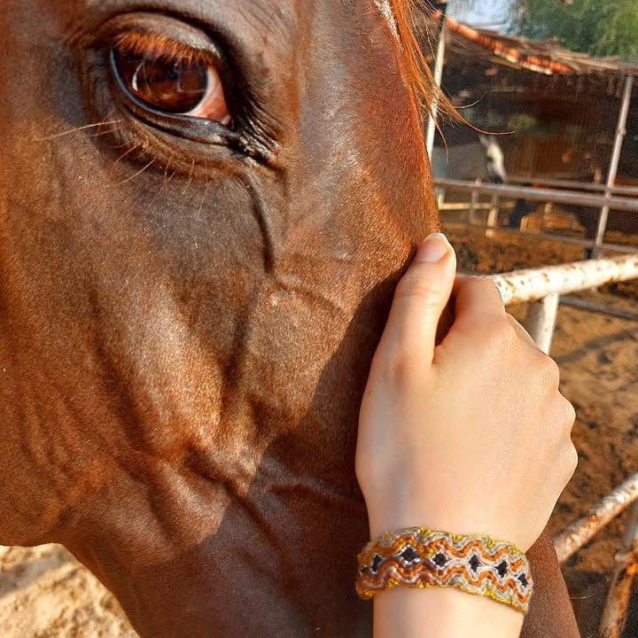 عيون الأصايل 🐎