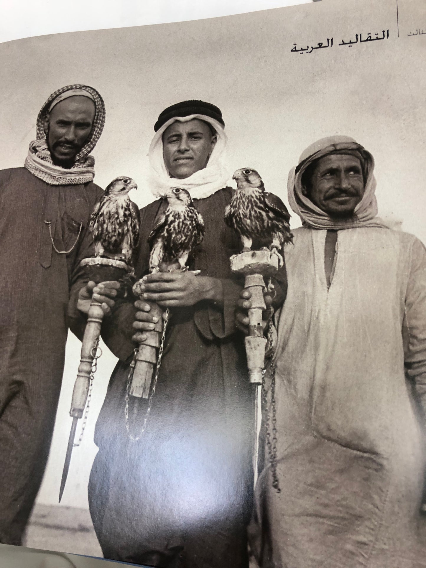 الصقارة احتفاء بتراث حي : طبعة فاخرة