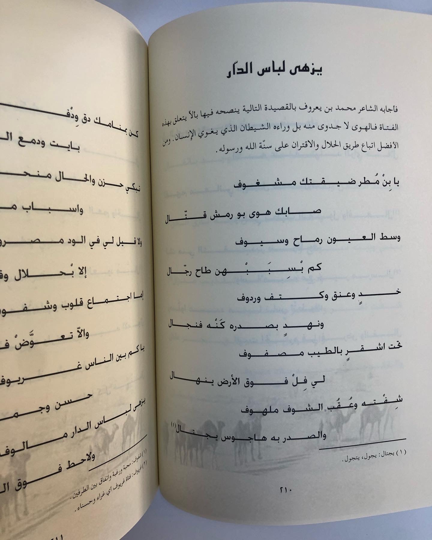 ديوان الخوافي في غريب القوافي الجزء الثاني : للشاعر محمد بن يعروف بن مرشد المنصوري