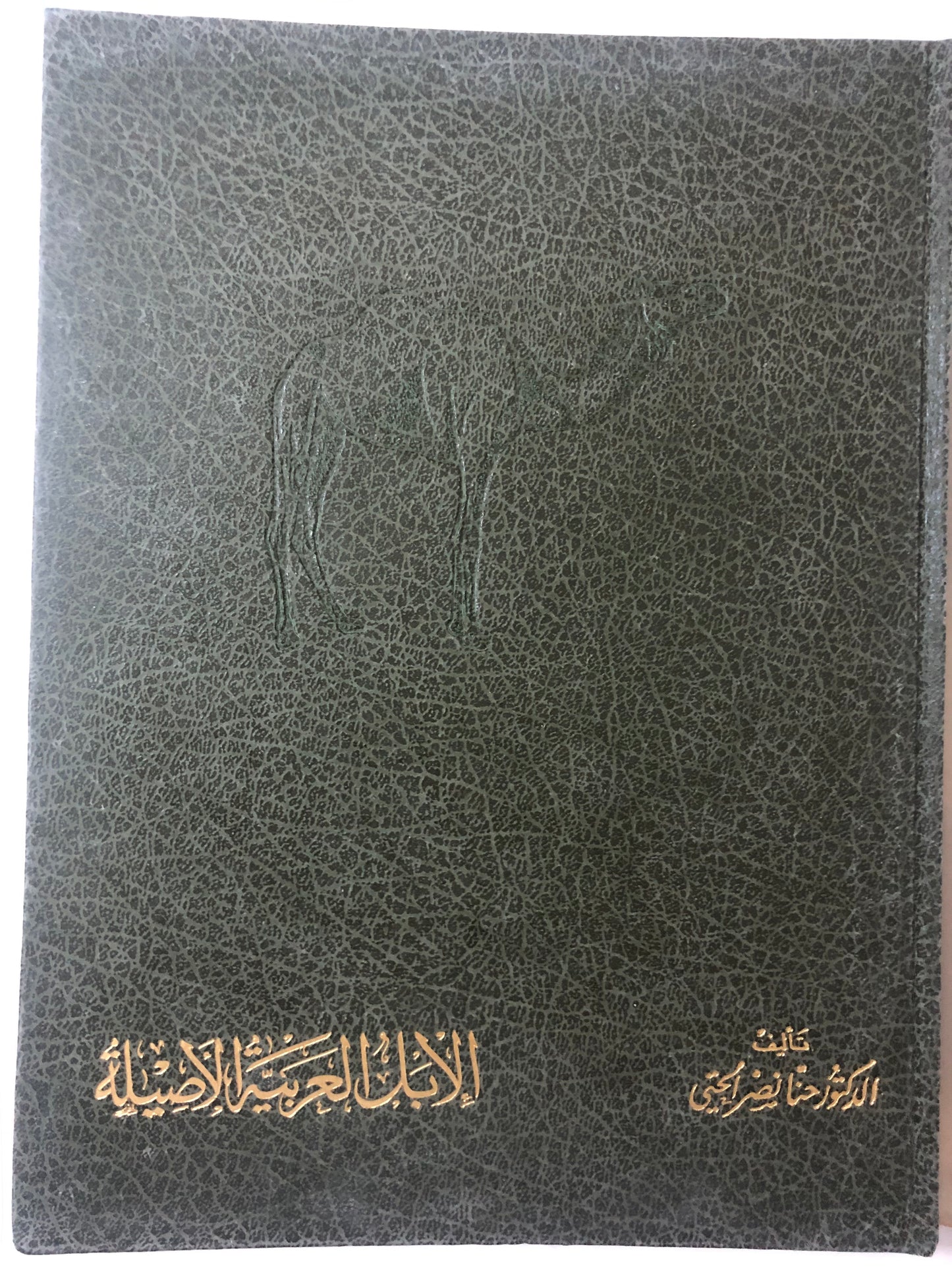 الإبل العربية الأصيلة