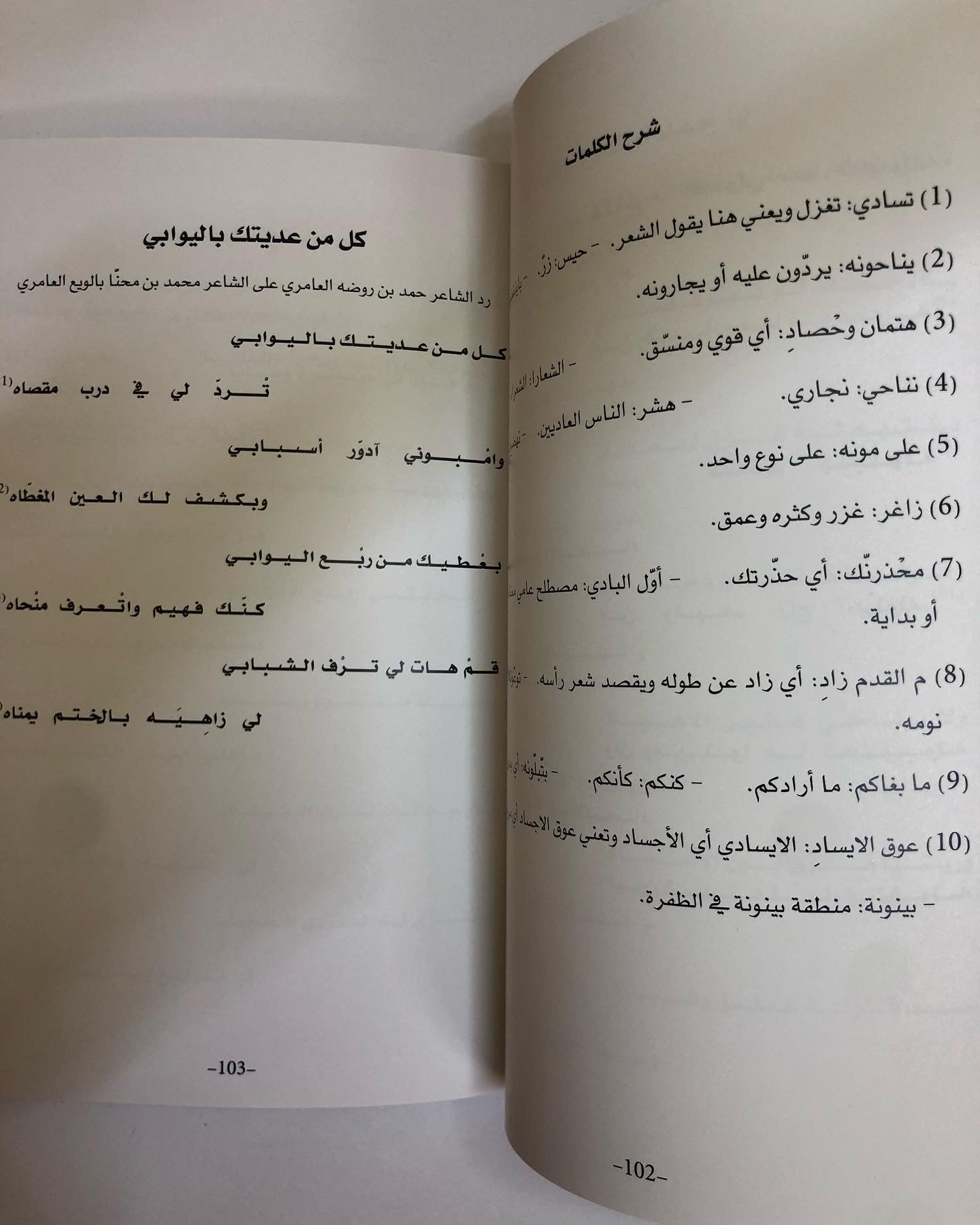 ديوان بن محنا : للشاعر محمد بن محنا بن لويع العامري / ط 2