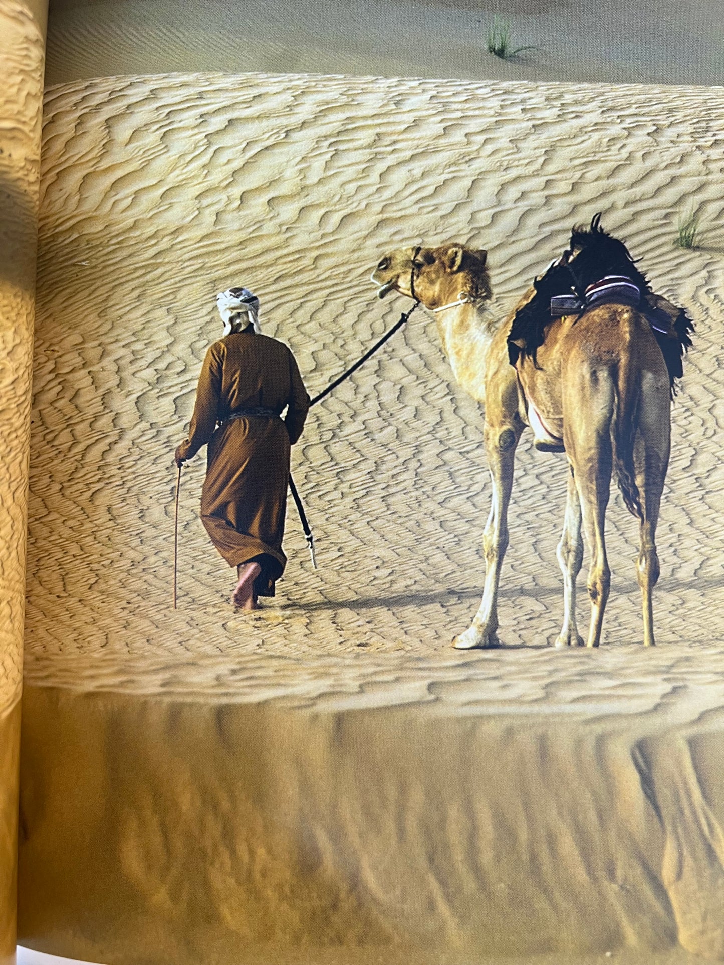 Al Mtwassf : abdullah Bin Dalmouk المتوصف   باللغة الانجليزية