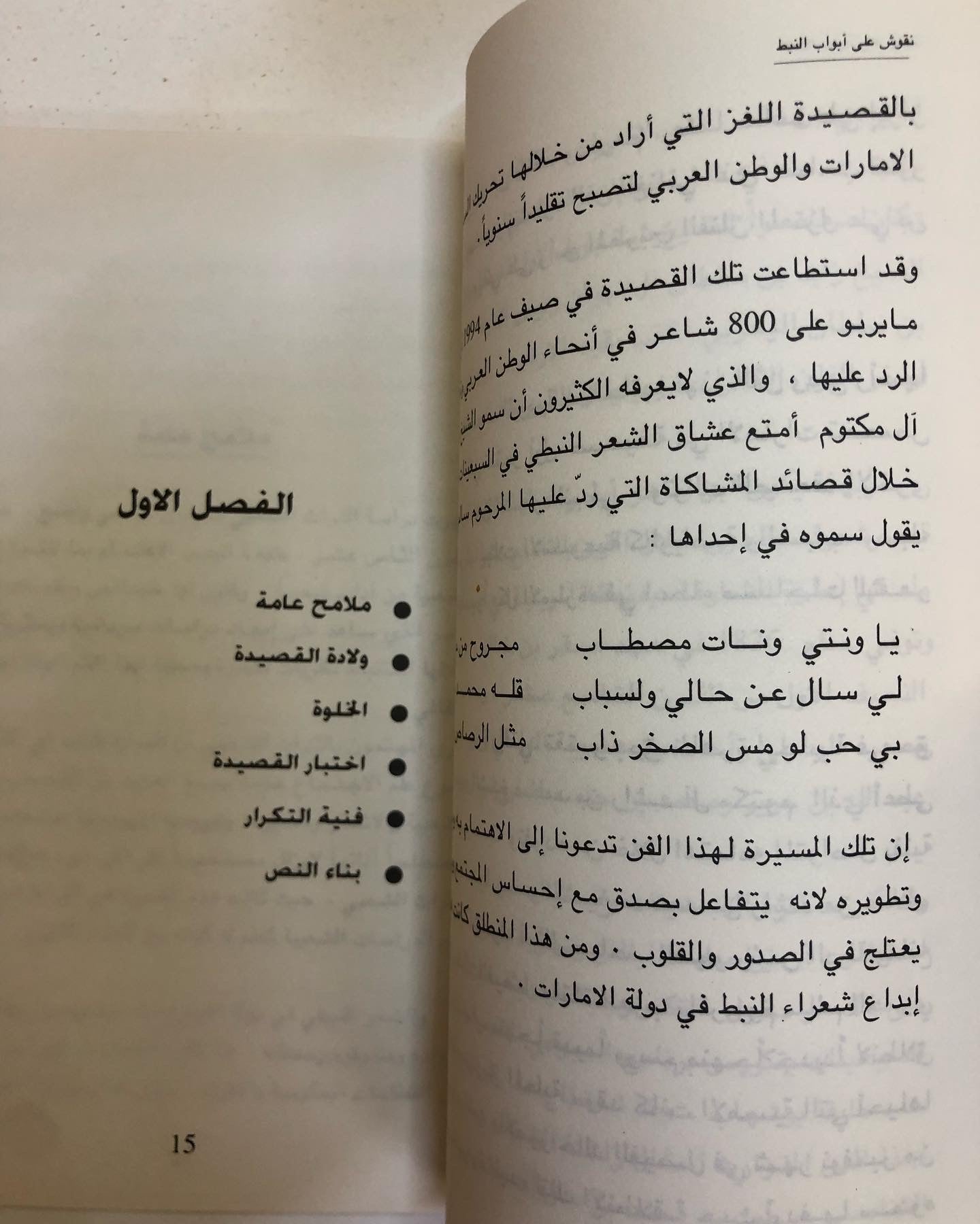 ‎نقوش على ابواب النبط : ظاعن شاهين 1995