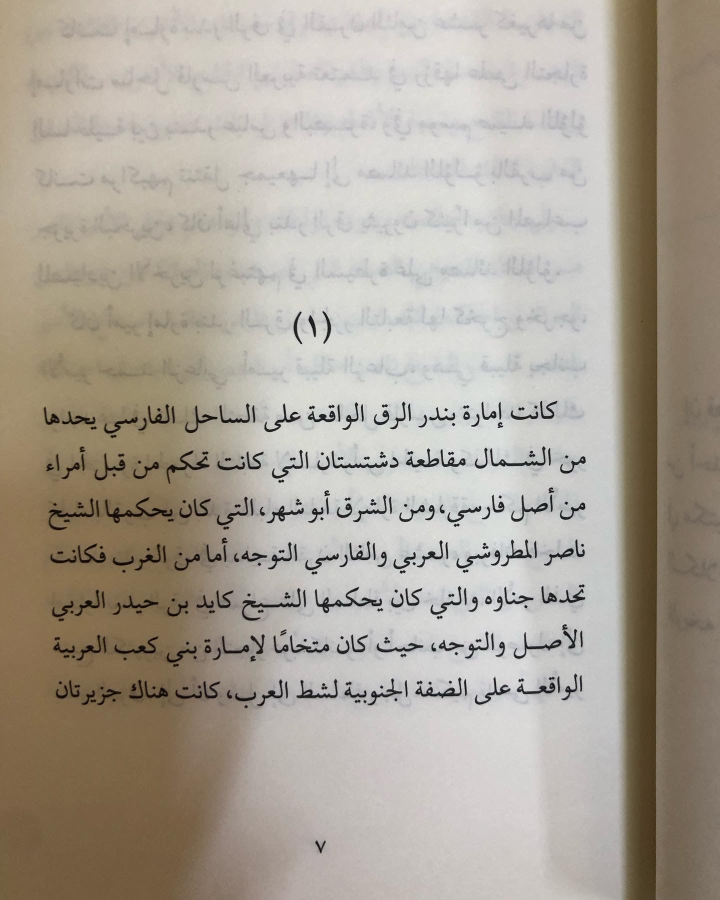 الأمير الثائر ( رواية تاريخية )