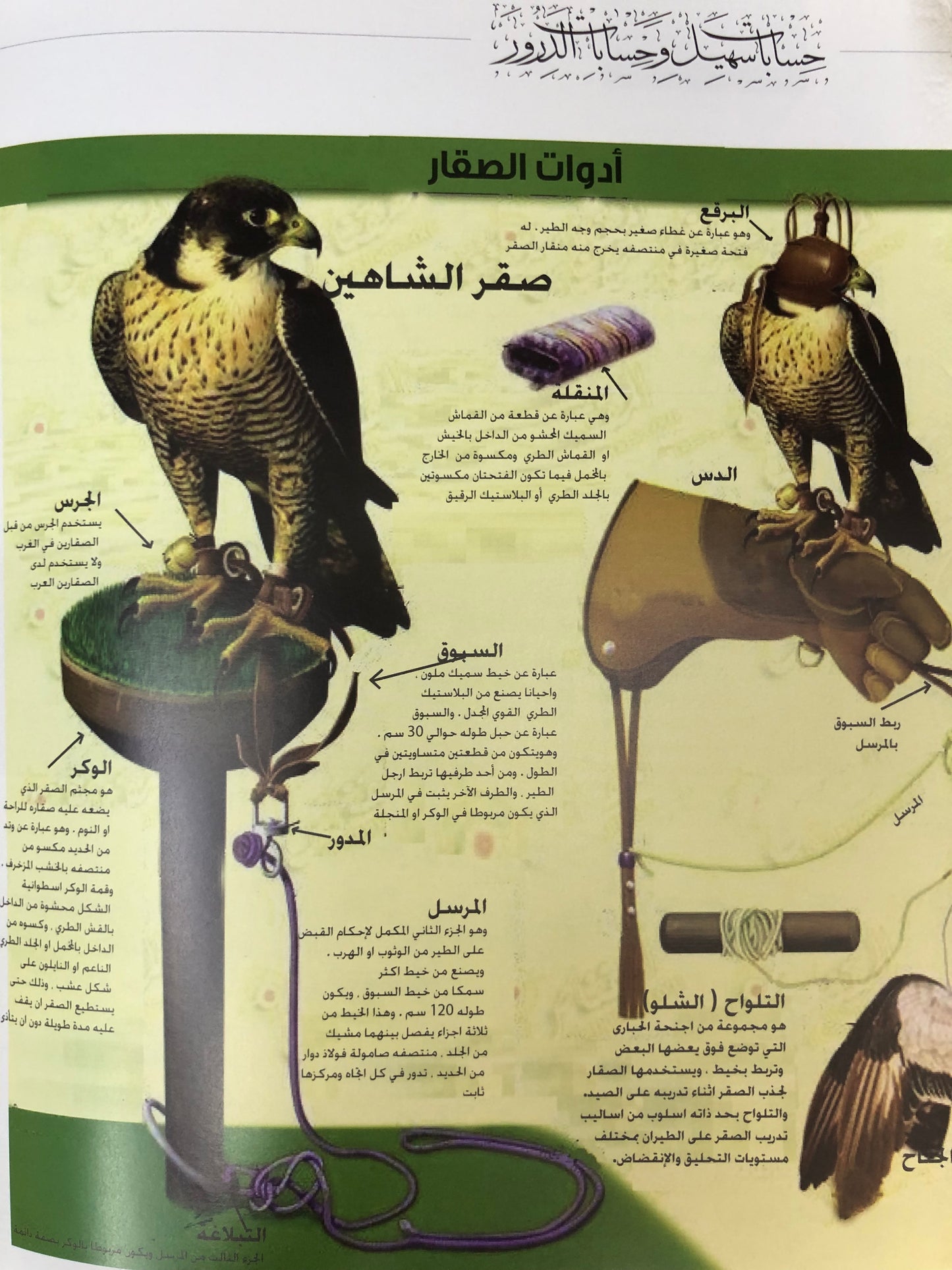 حسابات سهيل وحسابات الدرور : صوت من الماضي الجميل (مجلد)