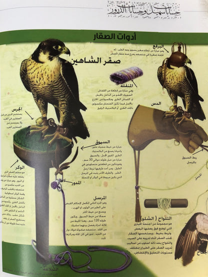 حسابات سهيل وحسابات الدرور : صوت من الماضي الجميل (مجلد)