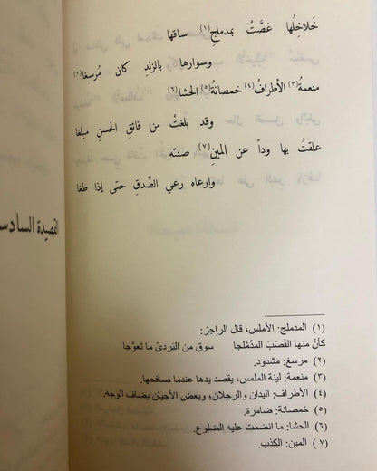 الطيب في التشبيب : في قصائد الشيخ سلطان بن صقر القاسمي