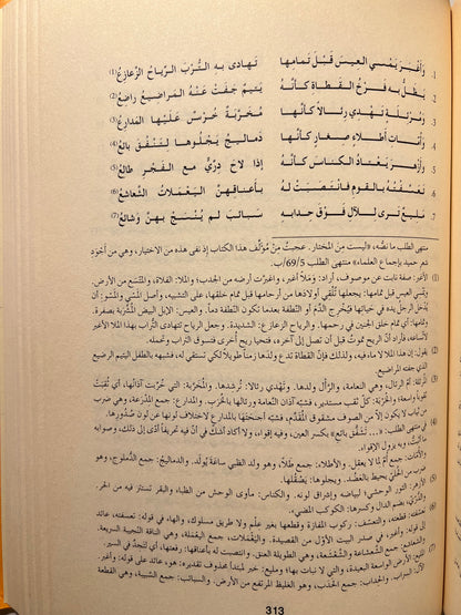 ⁨ ديوان حميد بن ثور الهلالي
