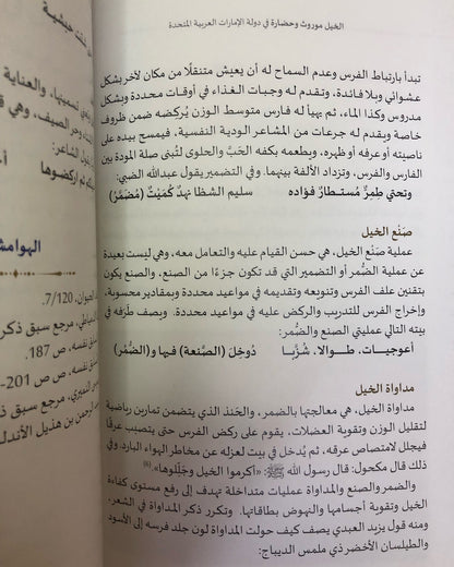 الخيل موروث وحضارة في دولة الإمارات