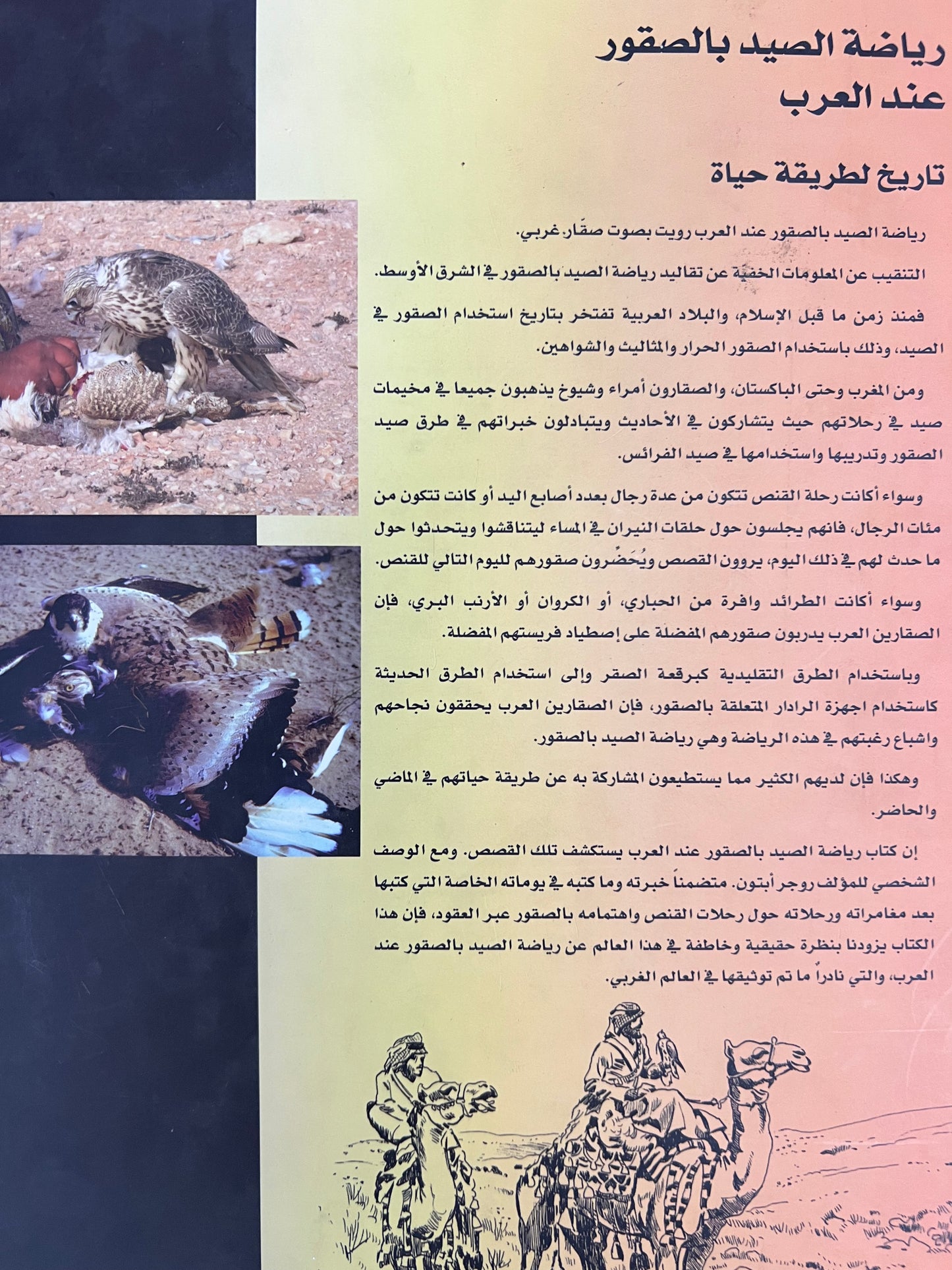رياضة الصيد بالصقور عند العرب