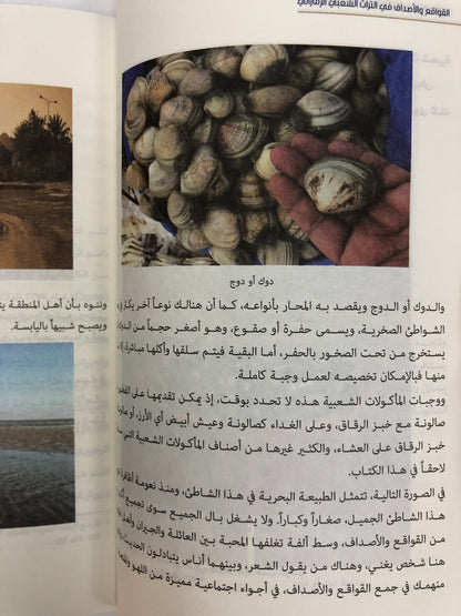 ‎القواقع والأصداف في التراث الشعبي الإماراتي