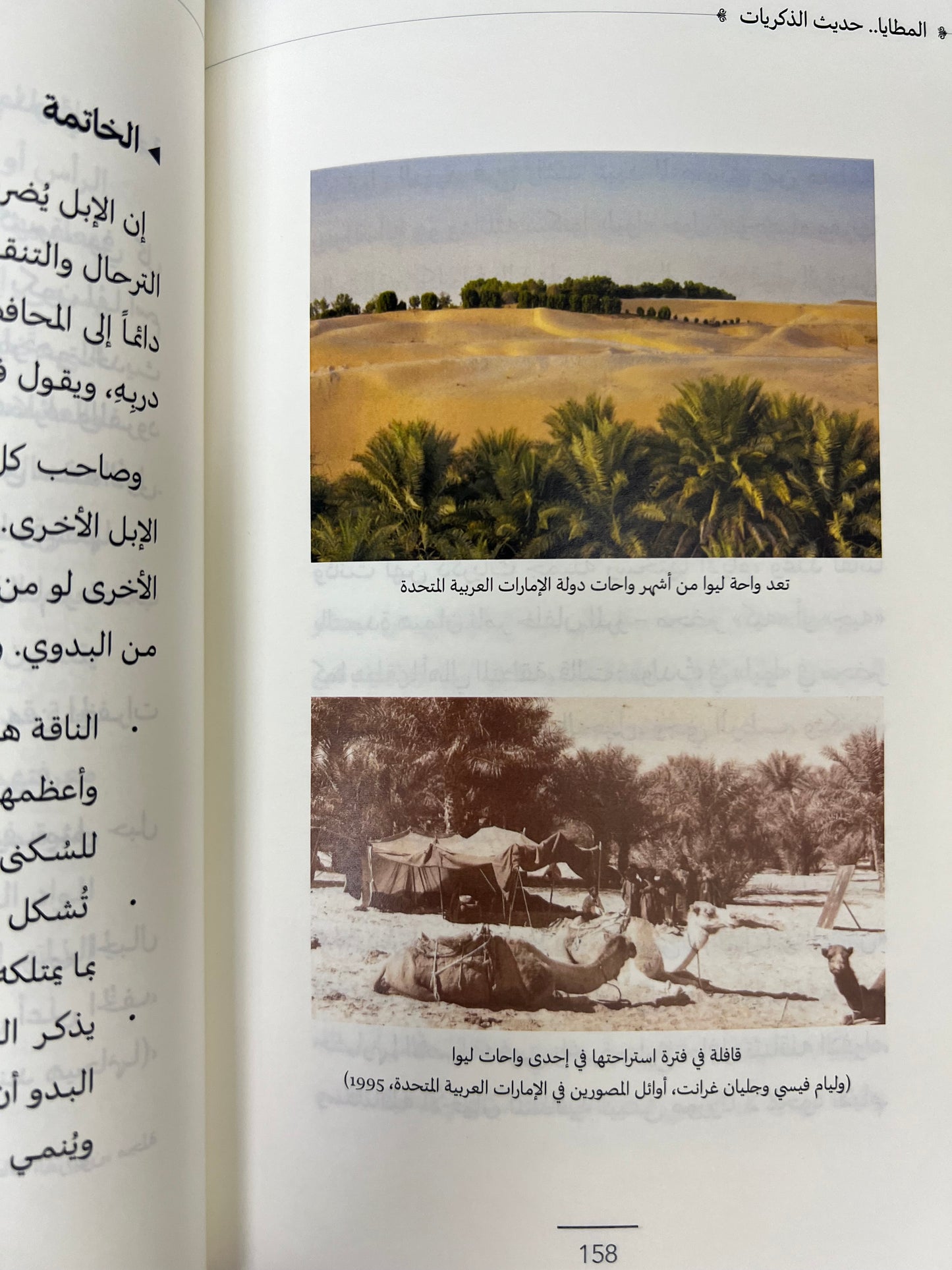 ⁨ المطايا حديث الذكريات