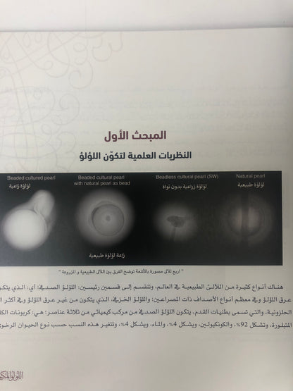 ⁨ اللؤلؤ المكنون