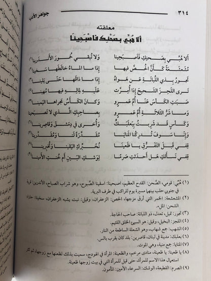 جواهر الأدب في أدبيات وإنشاء لغة العرب : مجلد